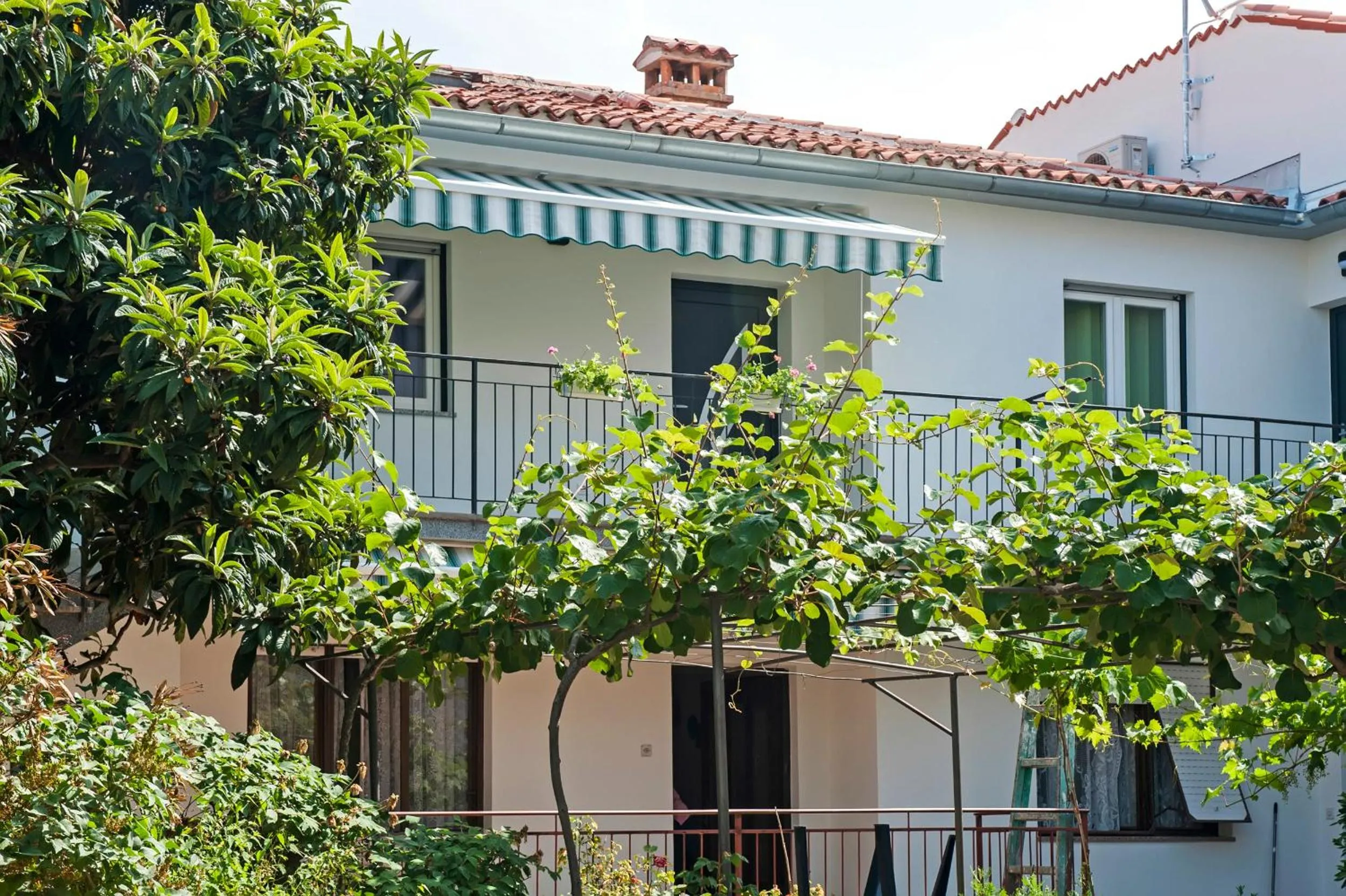 Apartment and Studio Tereza