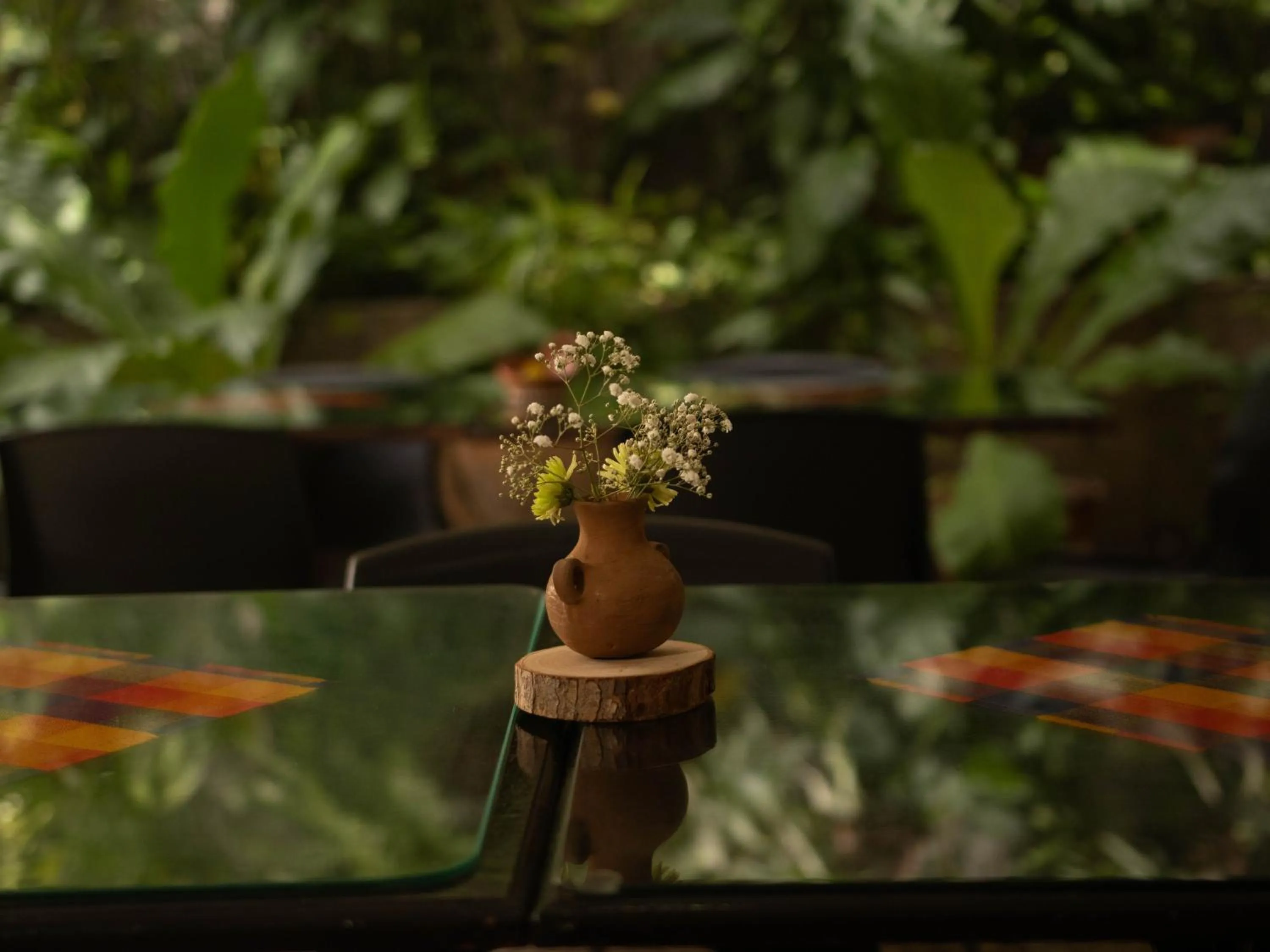 Garden view in Eco Hotel Mariscal