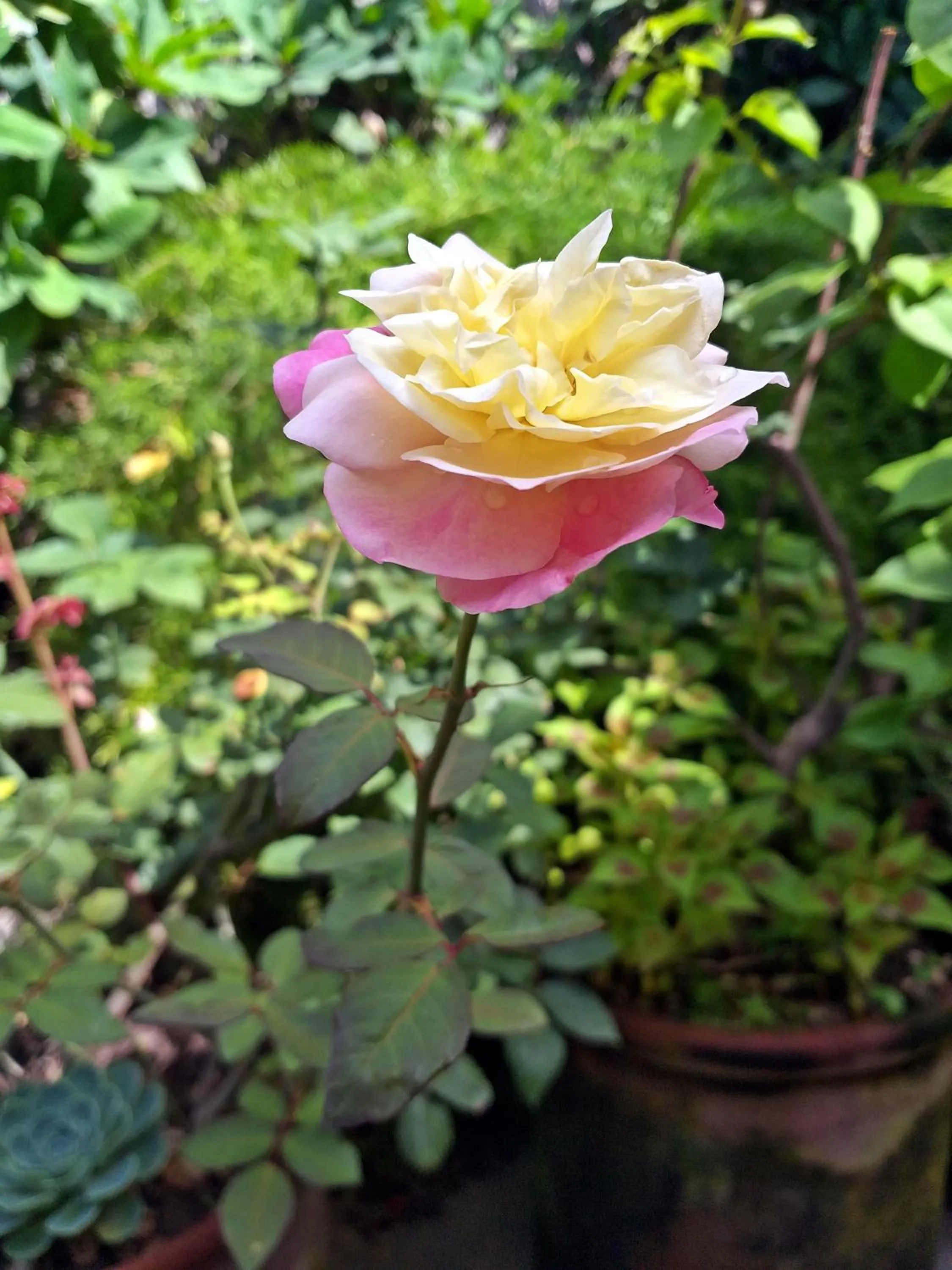 Property building in Eco Hotel Mariscal