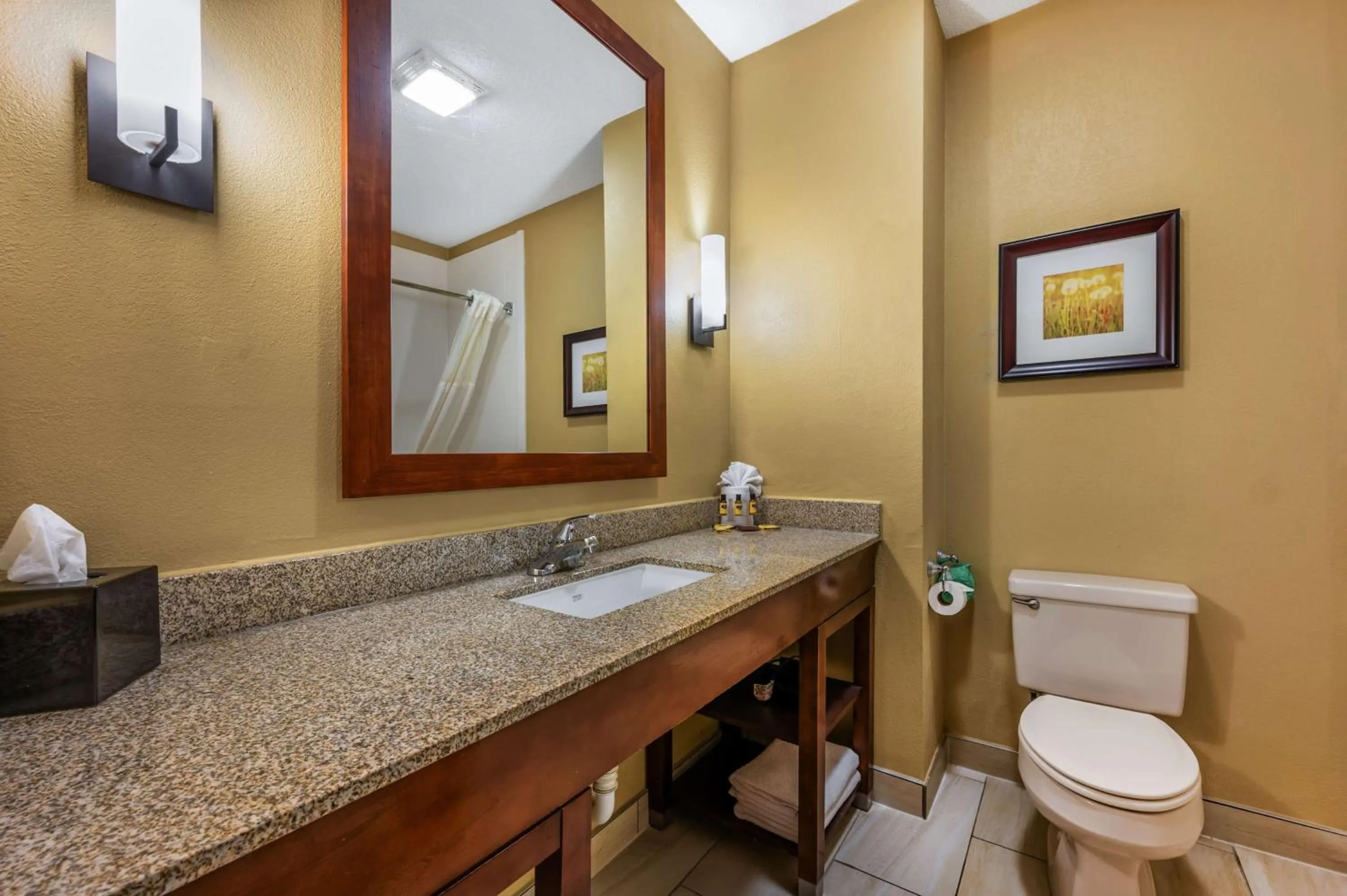 Bathroom in Best Western Plus Georgetown Corporate Center Hotel