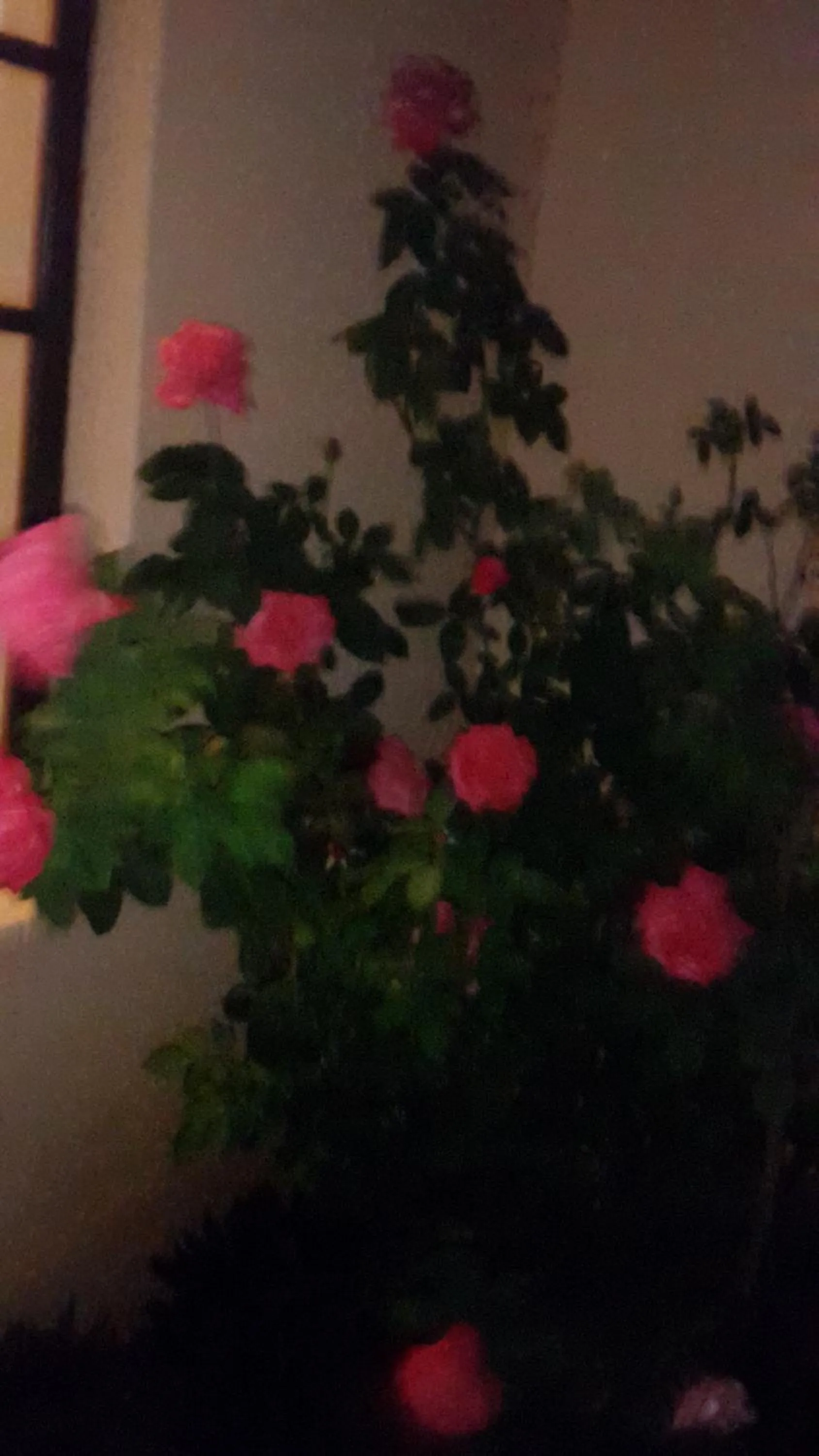 TINTECH BED & BREAKFAST