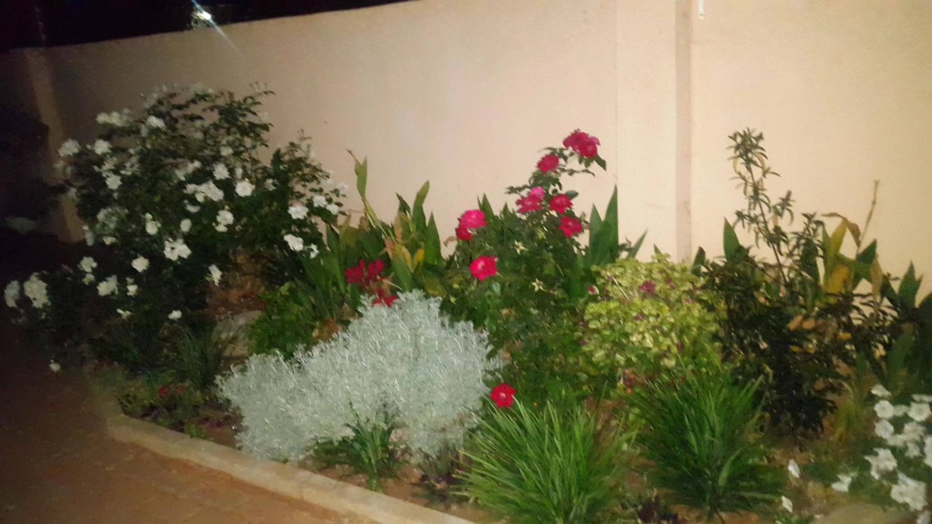 Garden in TINTECH BED & BREAKFAST