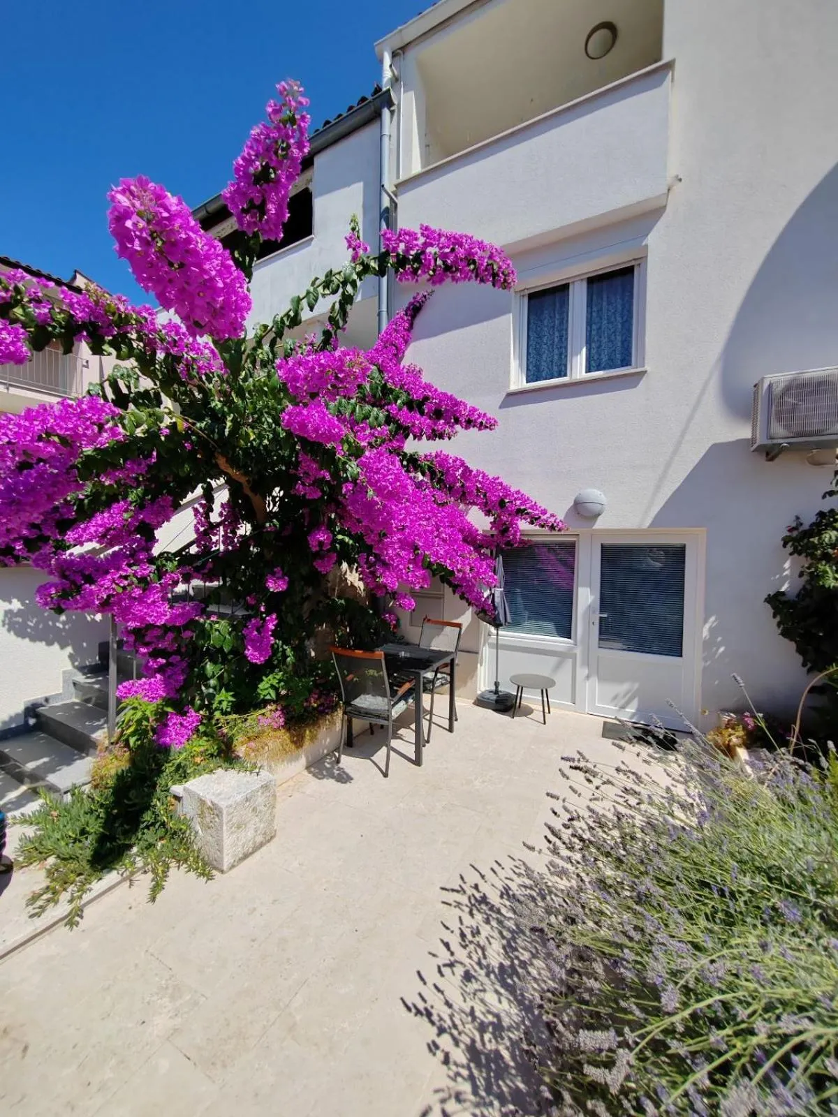 Property building in Studio City Garden