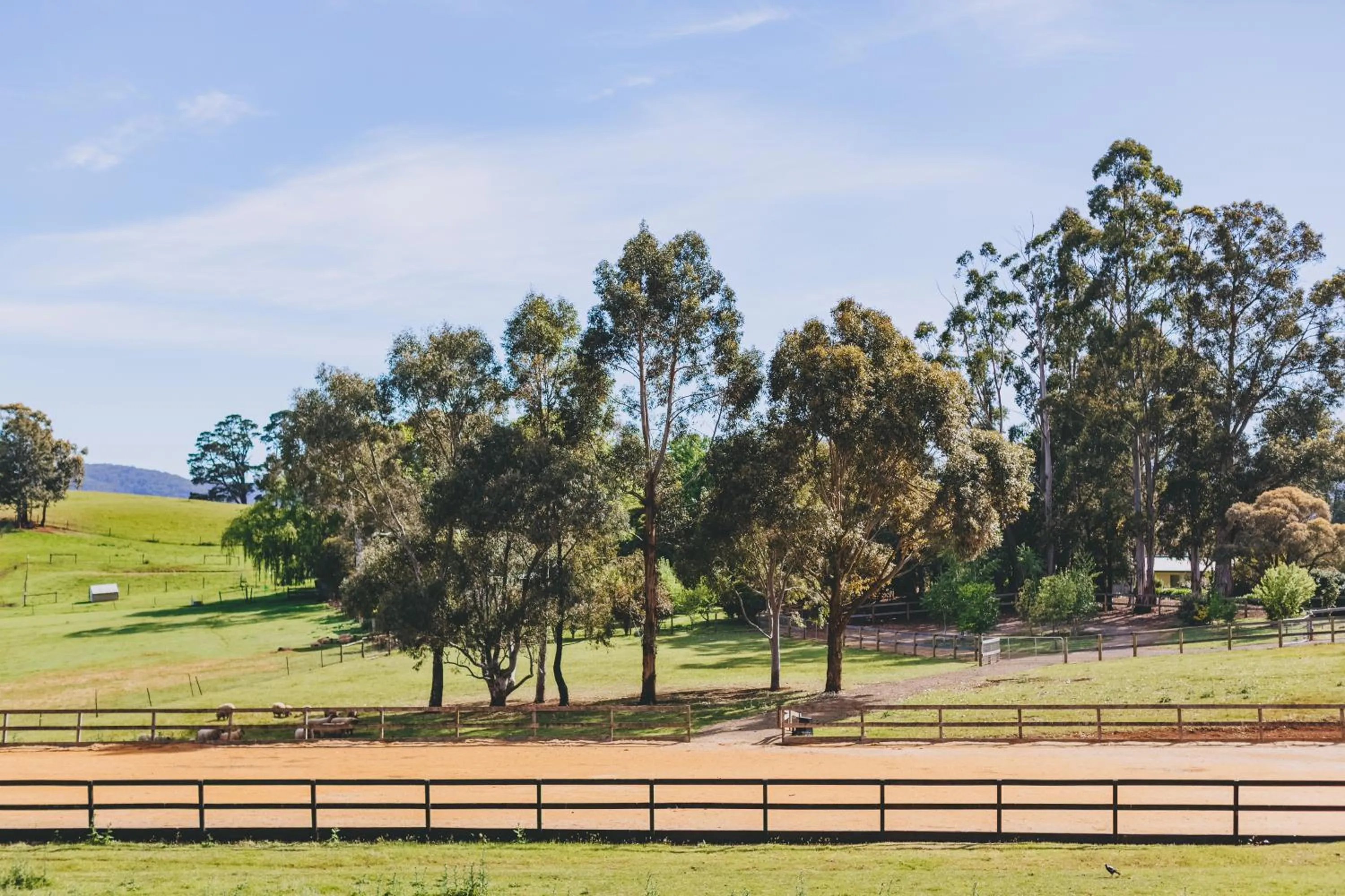 Property building in Dalblair Bed & Breakfast