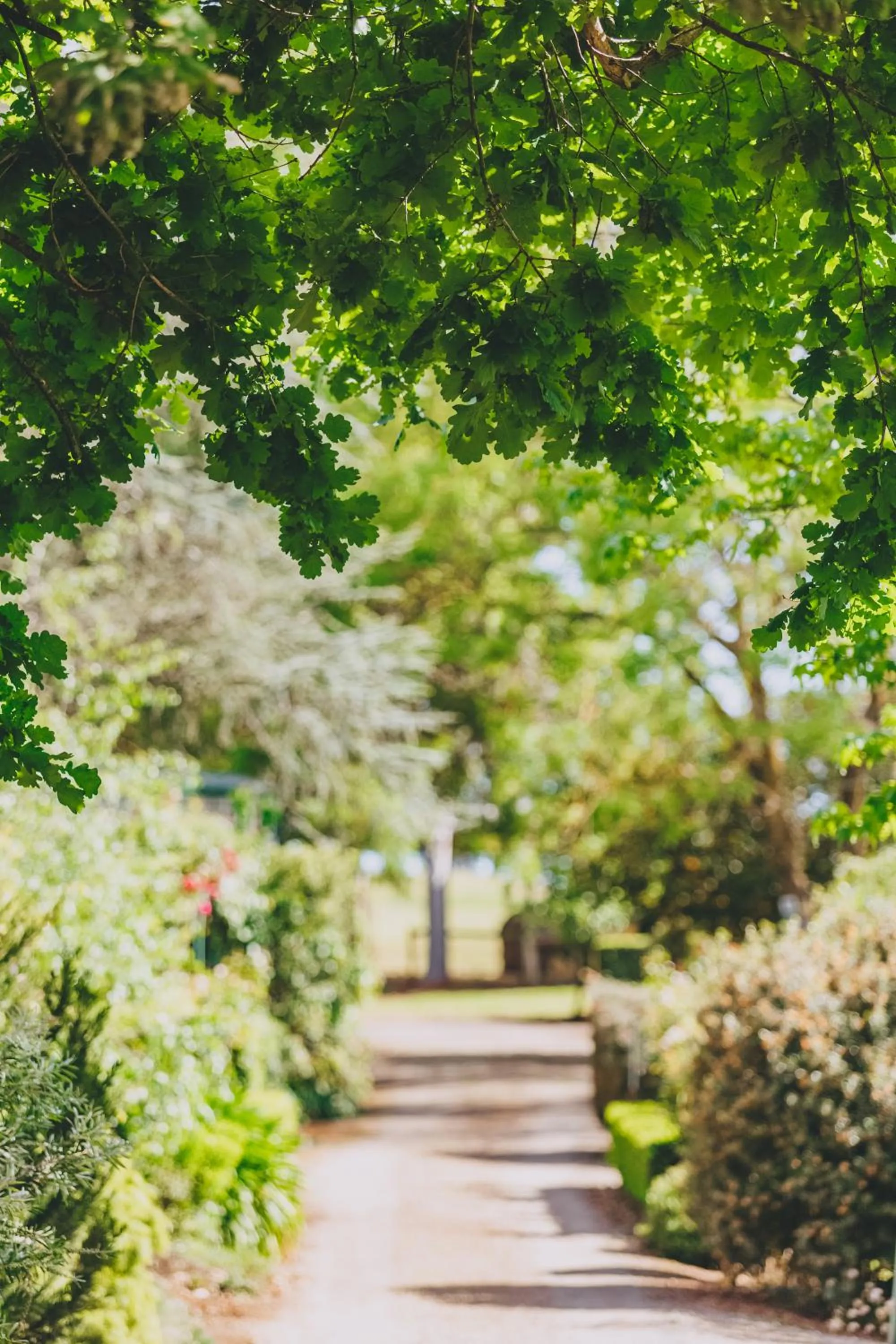 Property building in Dalblair Bed & Breakfast