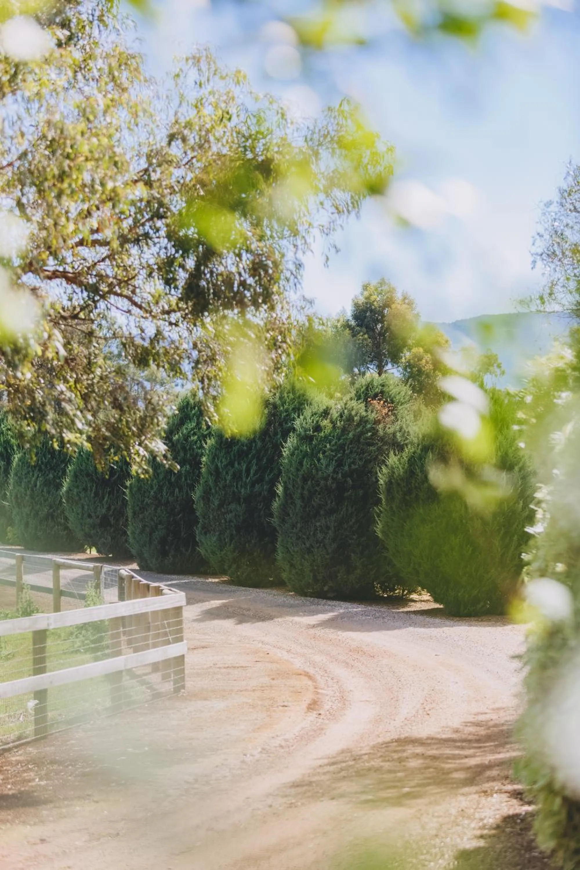 Property building in Dalblair Bed & Breakfast