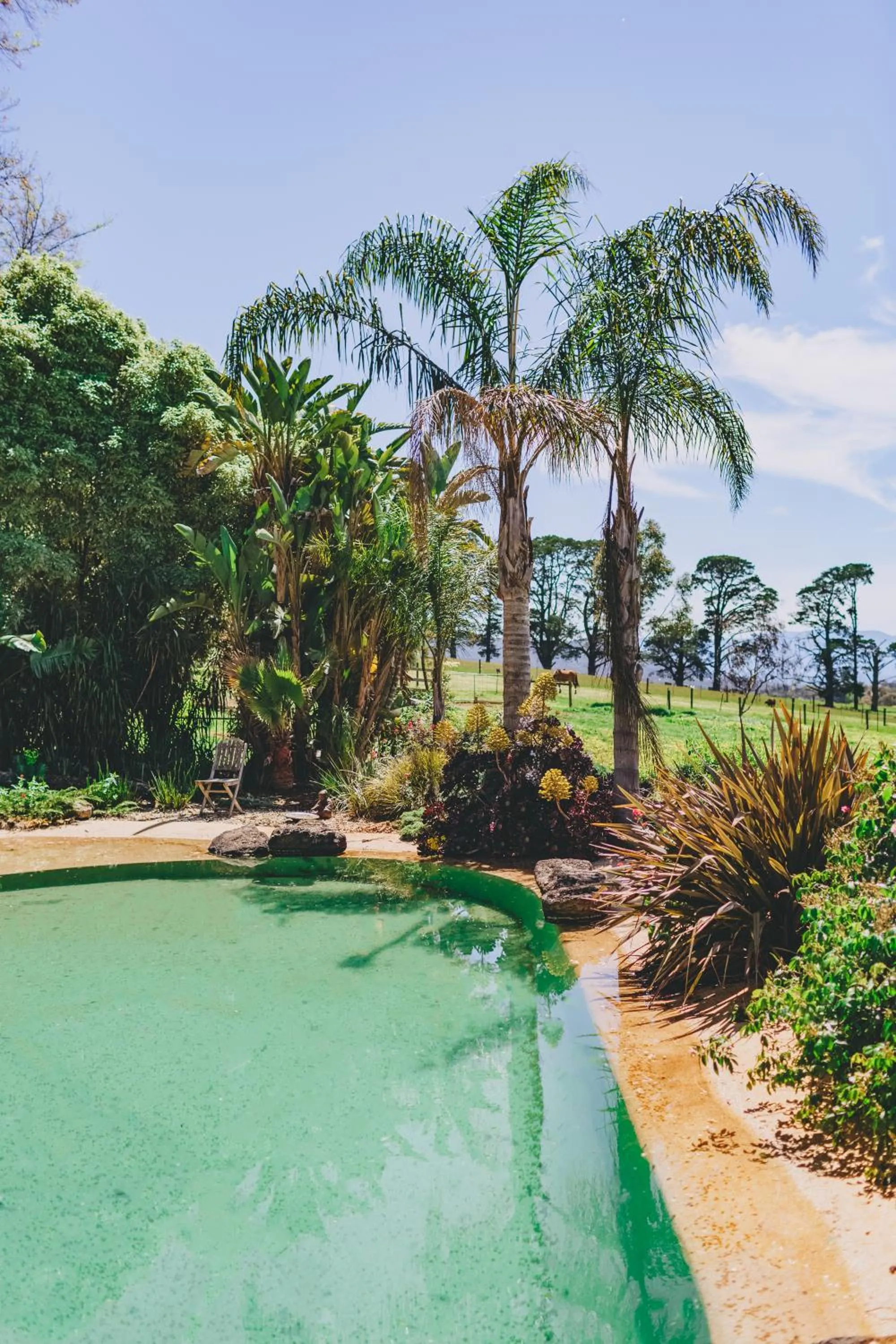 Pool view in Dalblair Bed & Breakfast