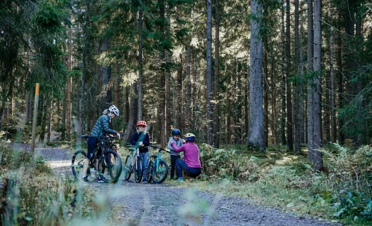 Activities in Hotell Lassalyckan