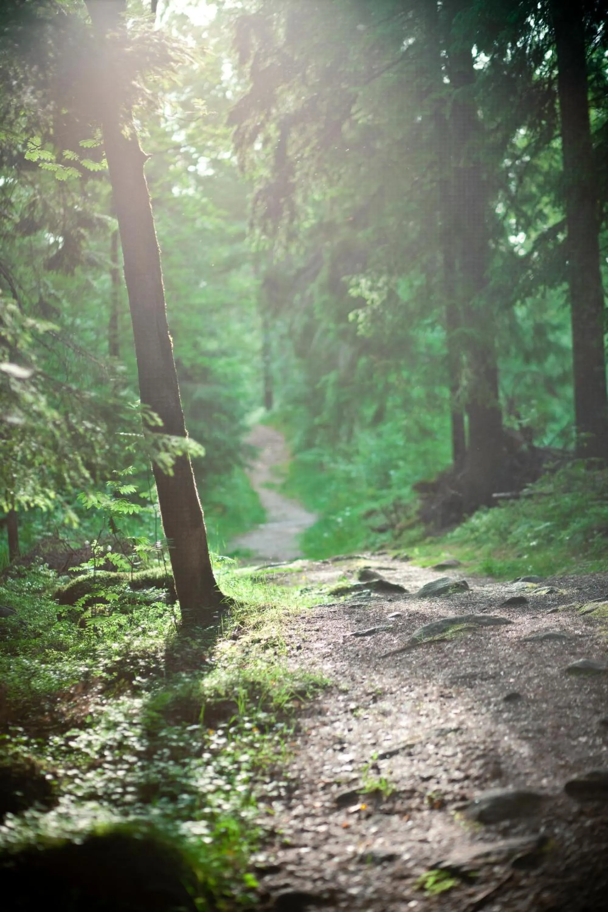 Hiking in Hotell Lassalyckan