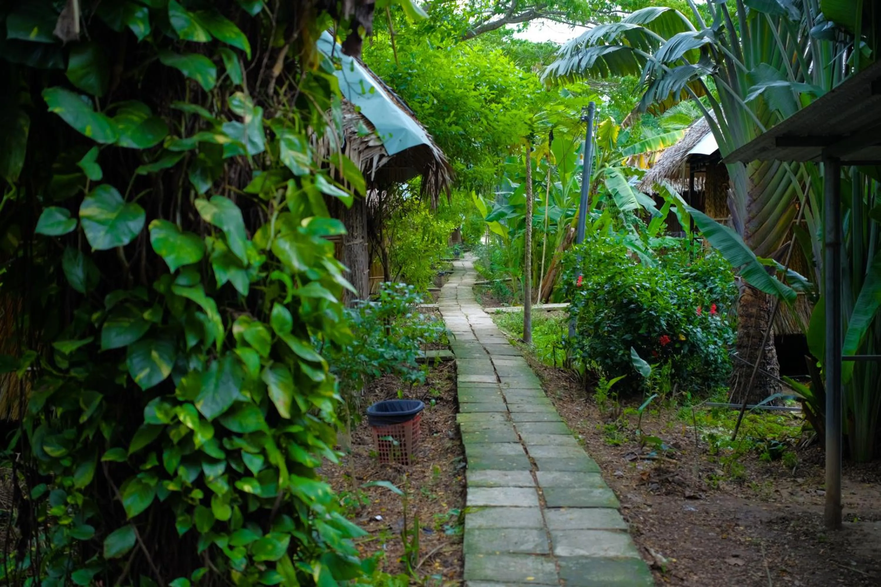 Hometravel Mekong Can Tho