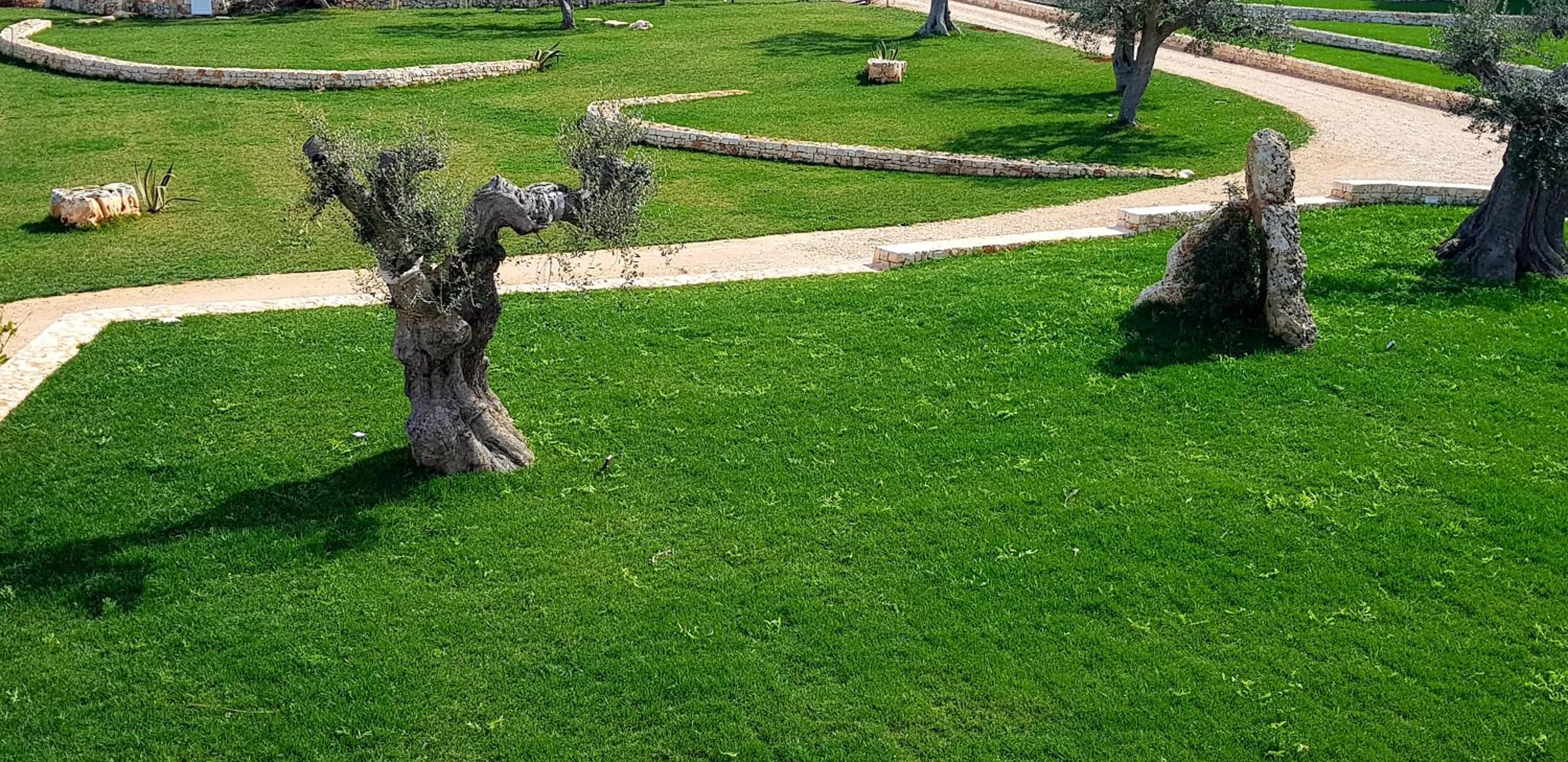 Garden in San Lorenzo Boutique Hotel & SPA