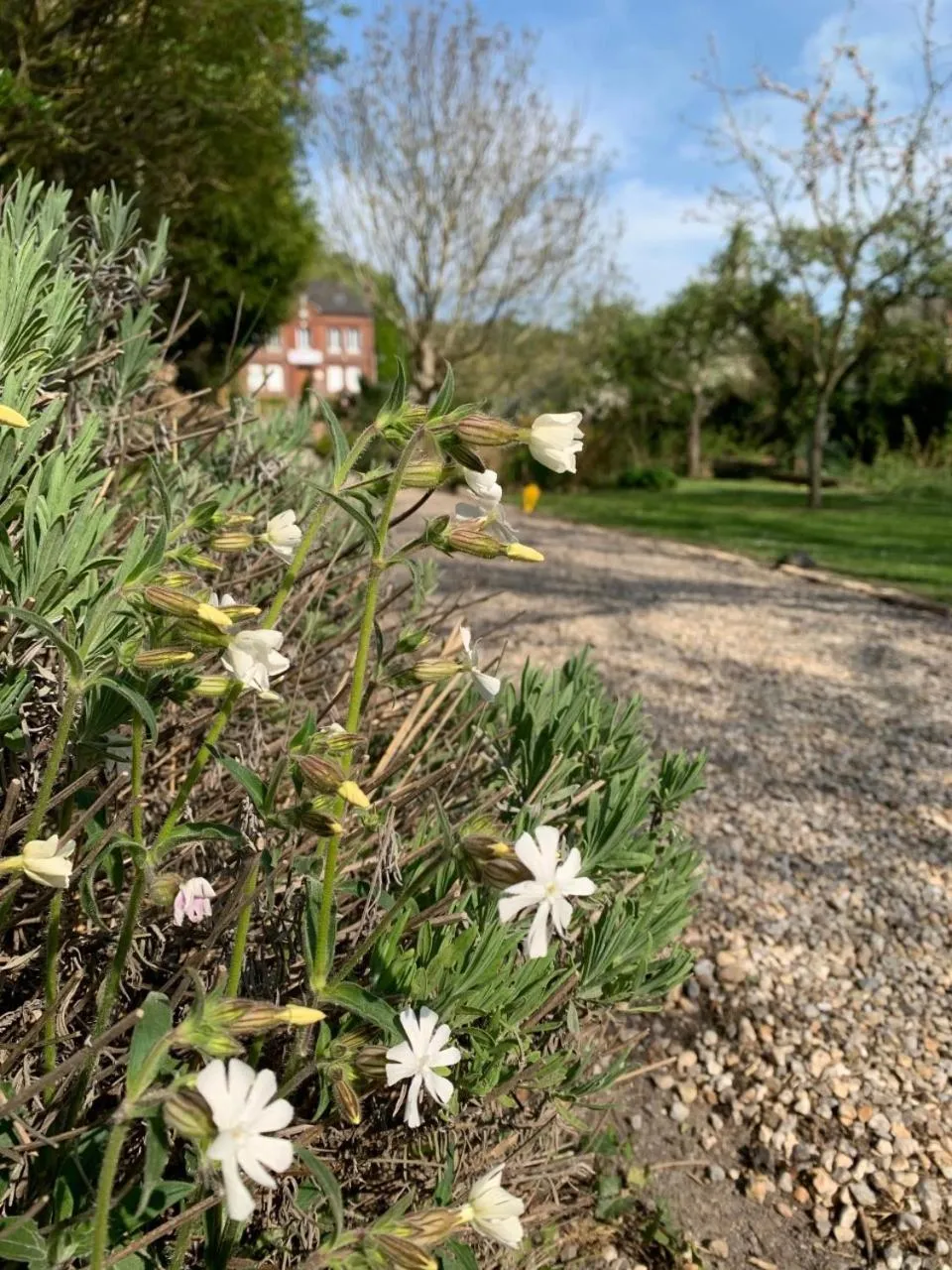 Garden in Chambres d'Hôtes Villa Mon Repos