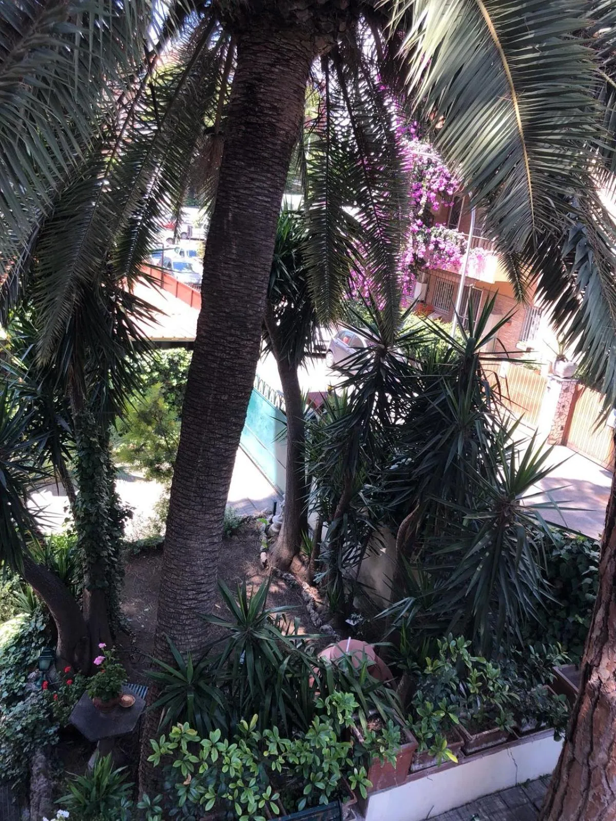 Garden in Il Tempio di Morfeo