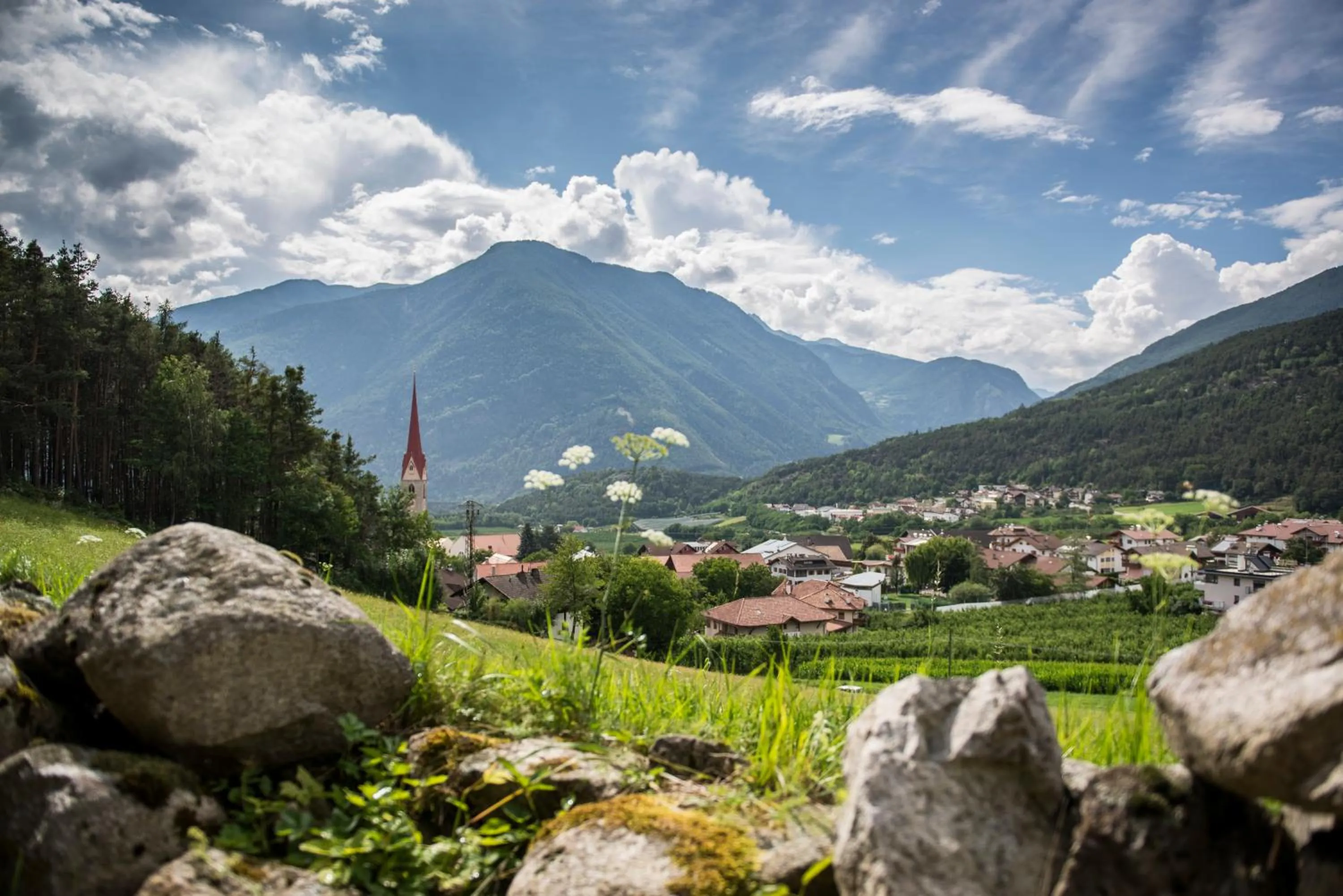 Mountain view in B&B Hotel Sonneck