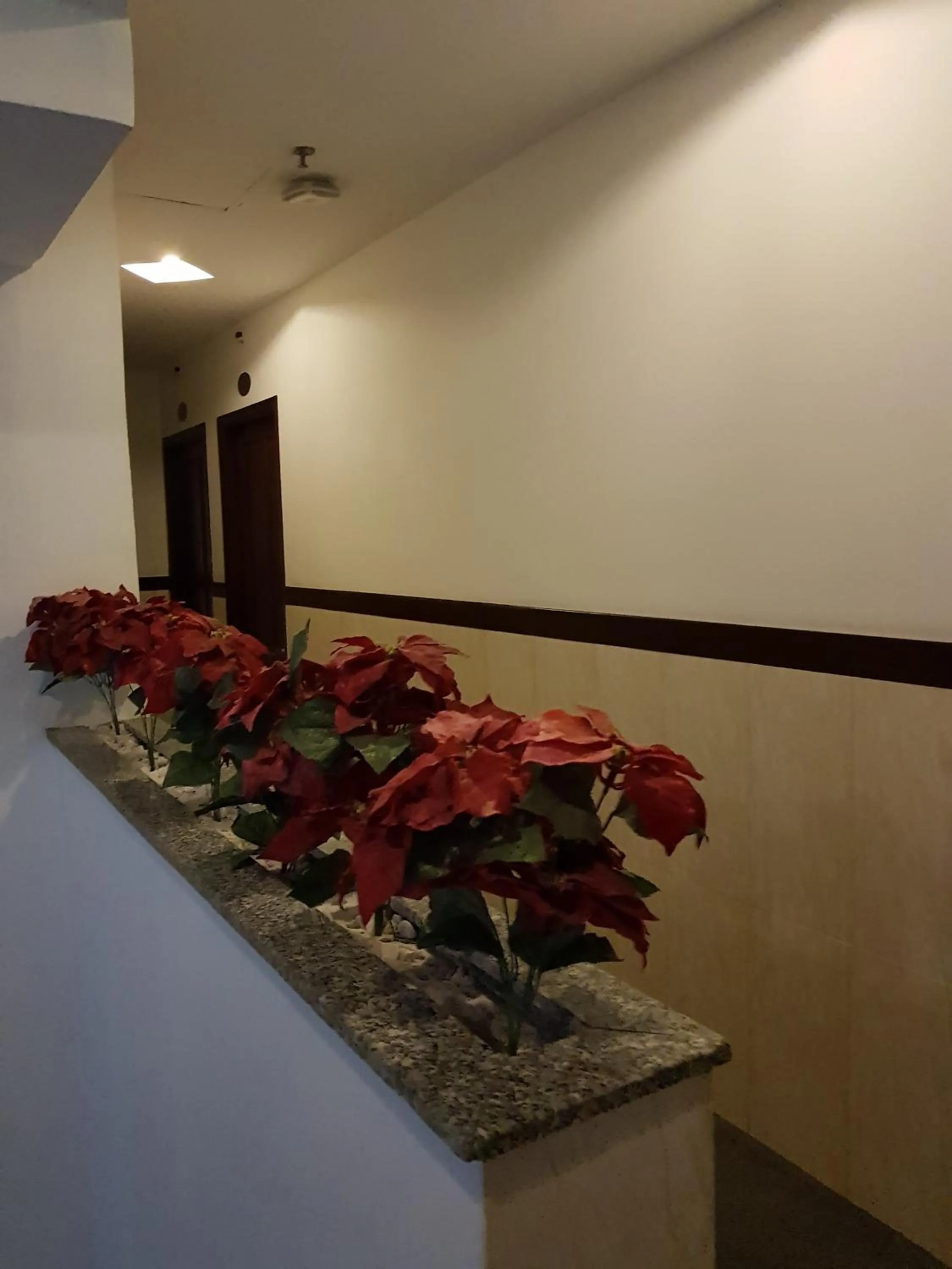 Property building in Ngoi Sao Phuong Nam Hotel