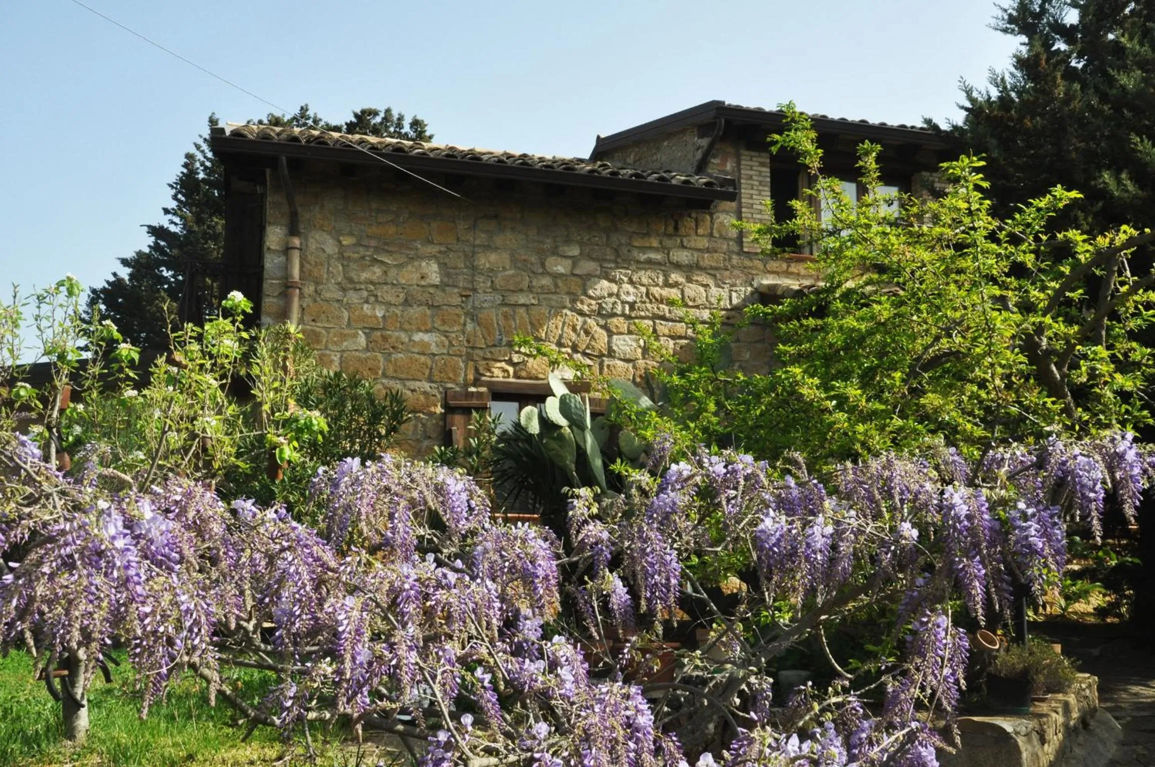 Facade/entrance in La Casa sulla Collina d'Oro