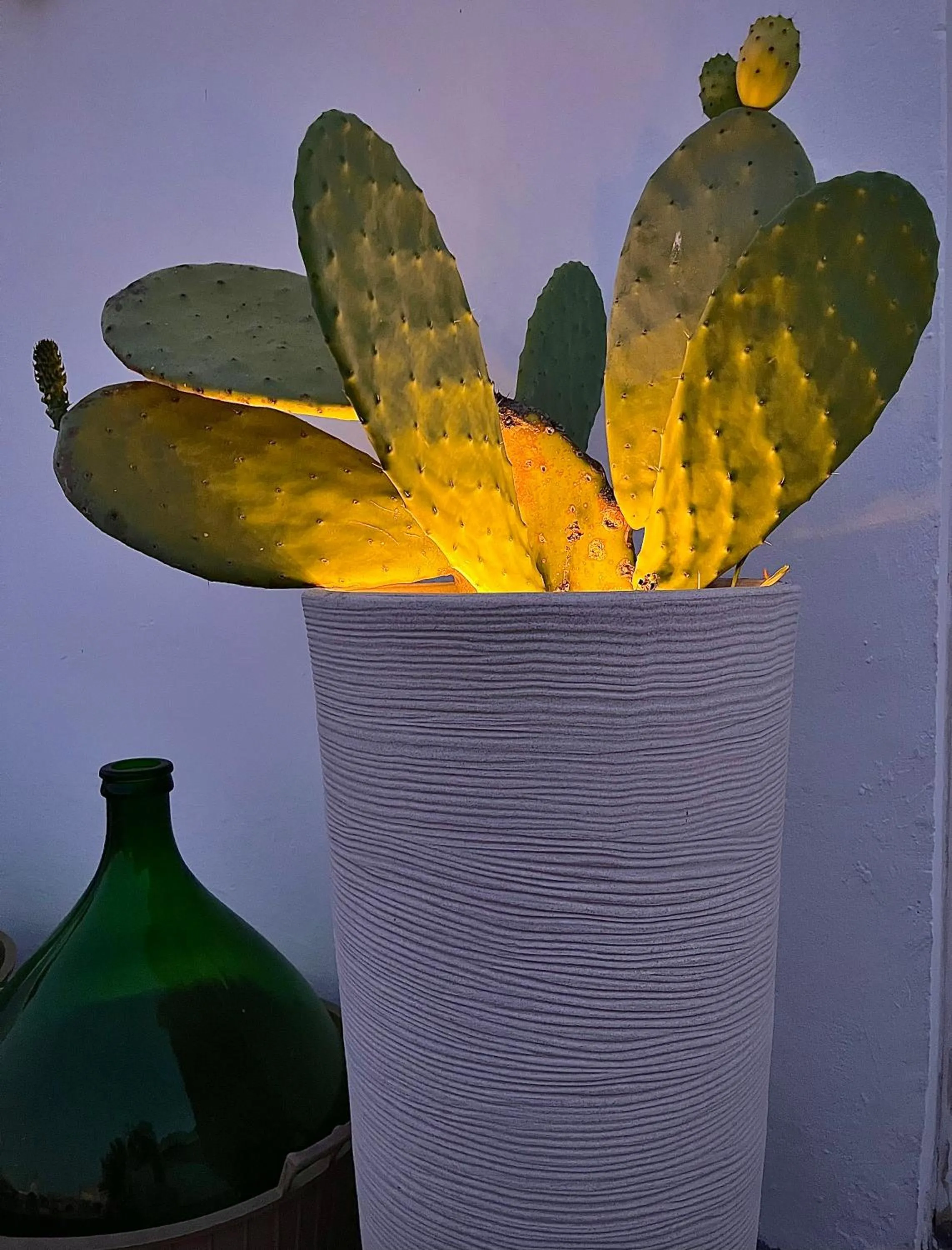 La Corte degli Spada - Borgo Antico del Salento