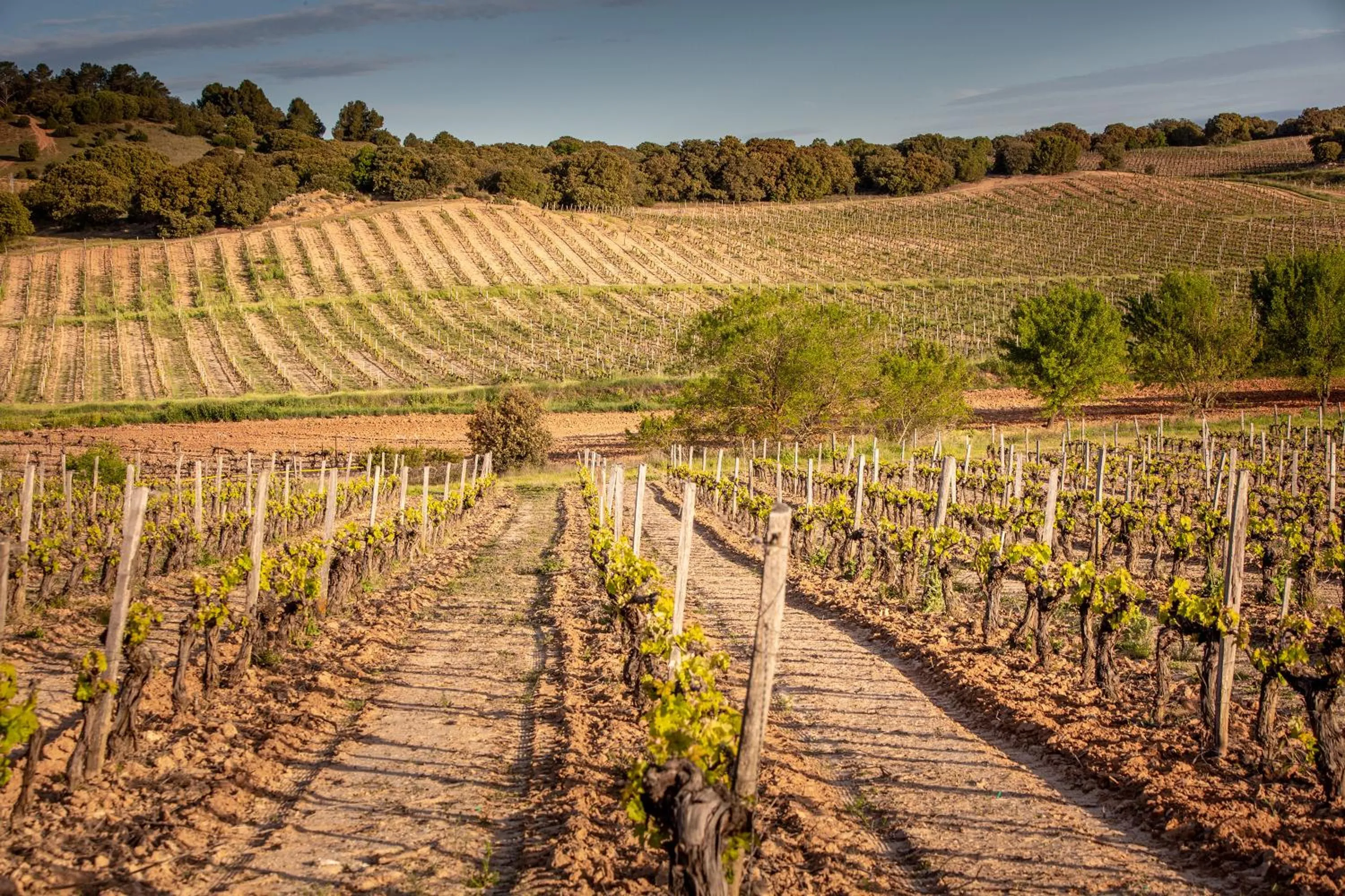 Natural landscape in Hotel Torremilanos