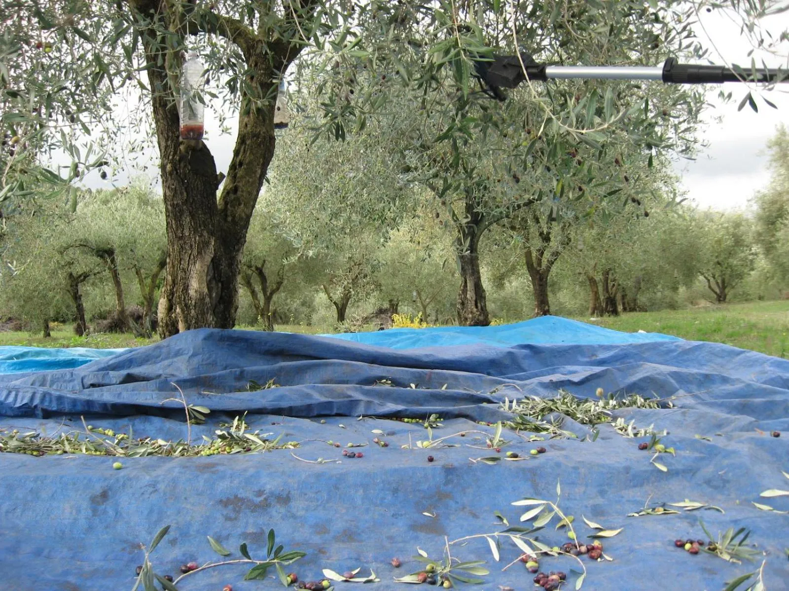 Autumn in B&B PIBITZOI