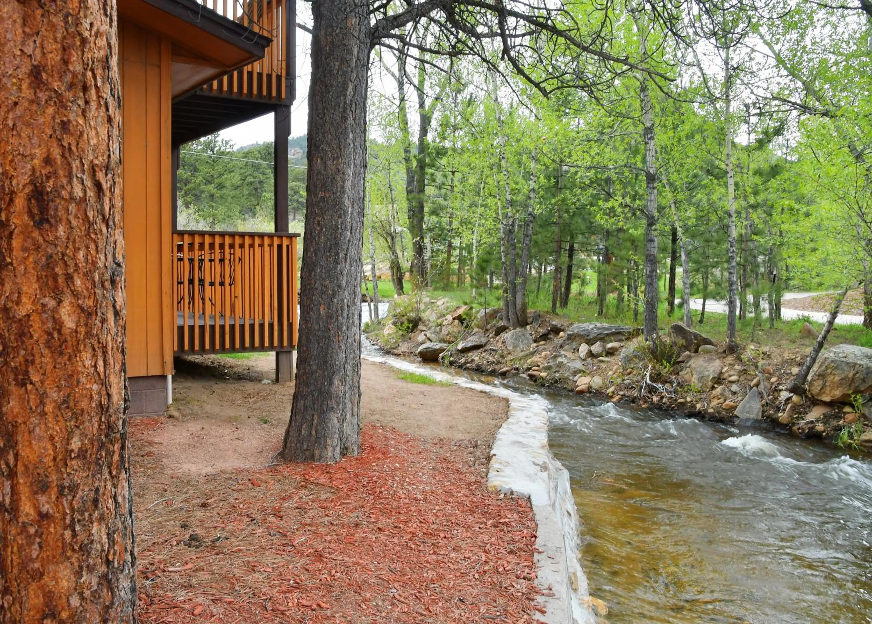 River view in Murphy's River Lodge