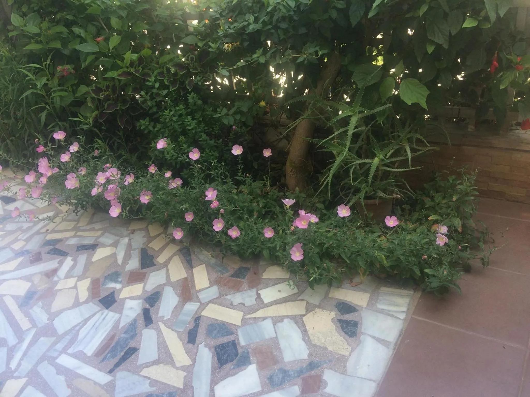 Patio in Popi Studios