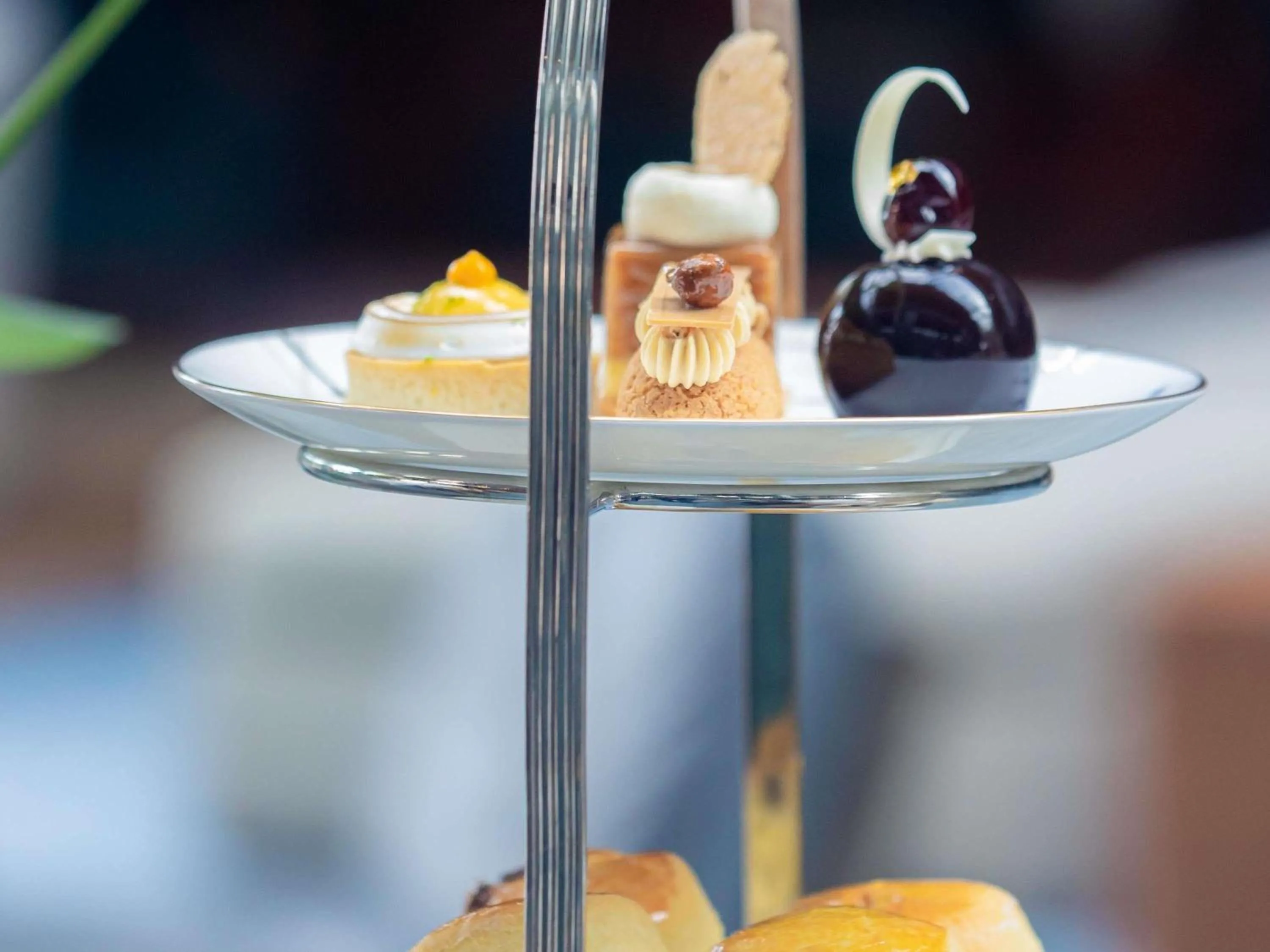 Restaurant/places to eat in Fairmont St Andrews, Scotland