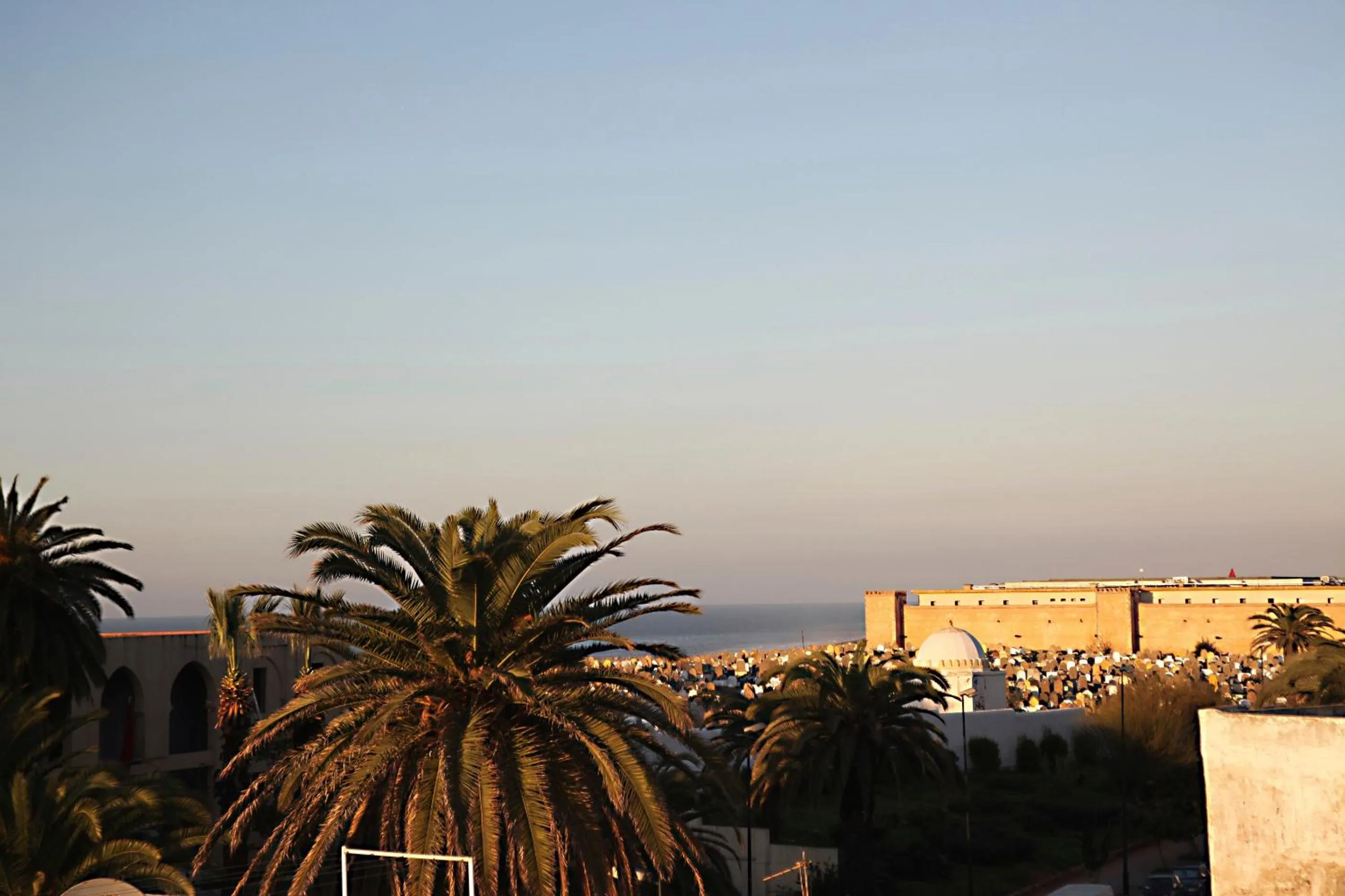 View (from property/room) in L'Alcazar