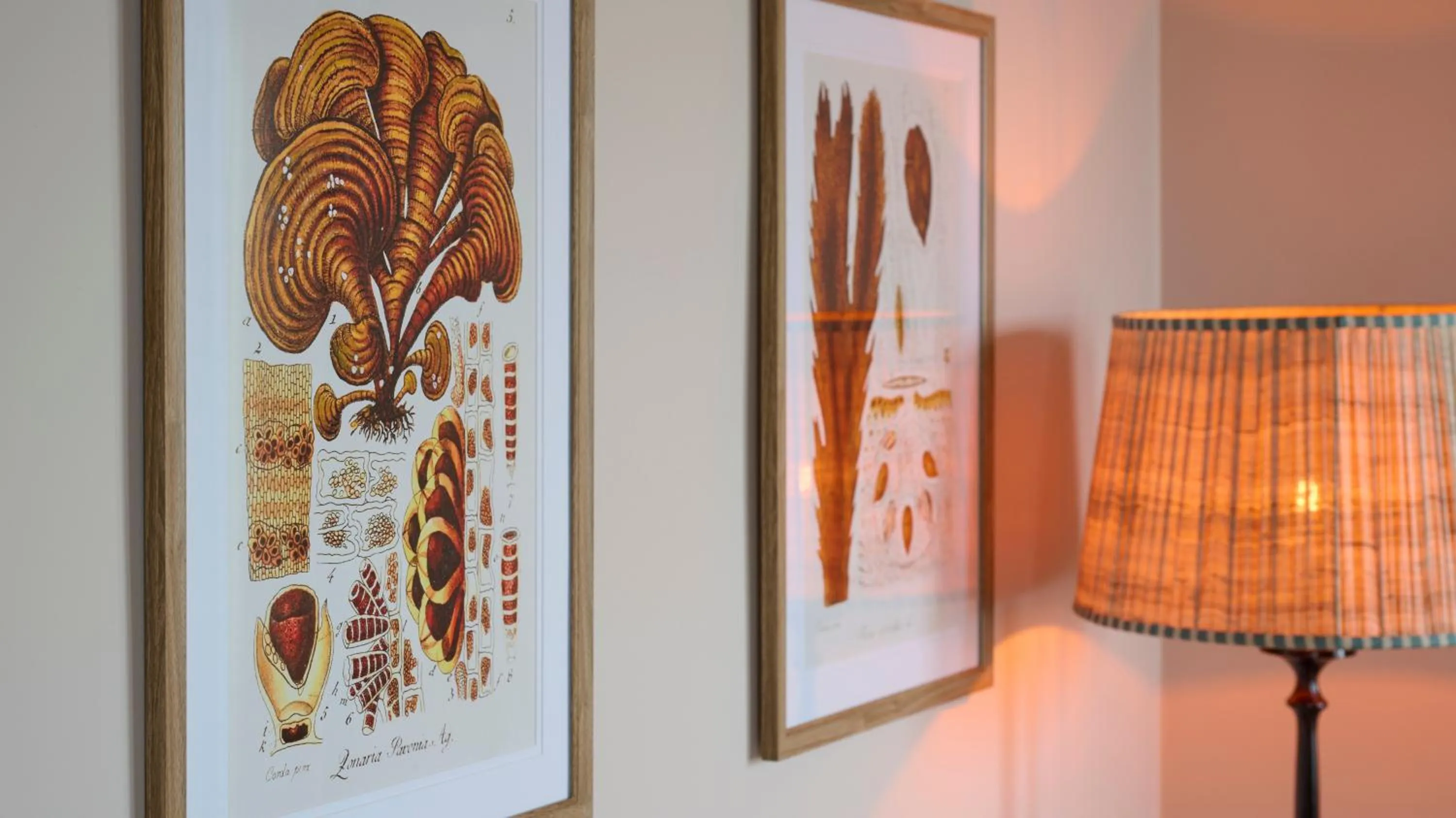 Decorative detail in Hotel Du Vin, St Andrews