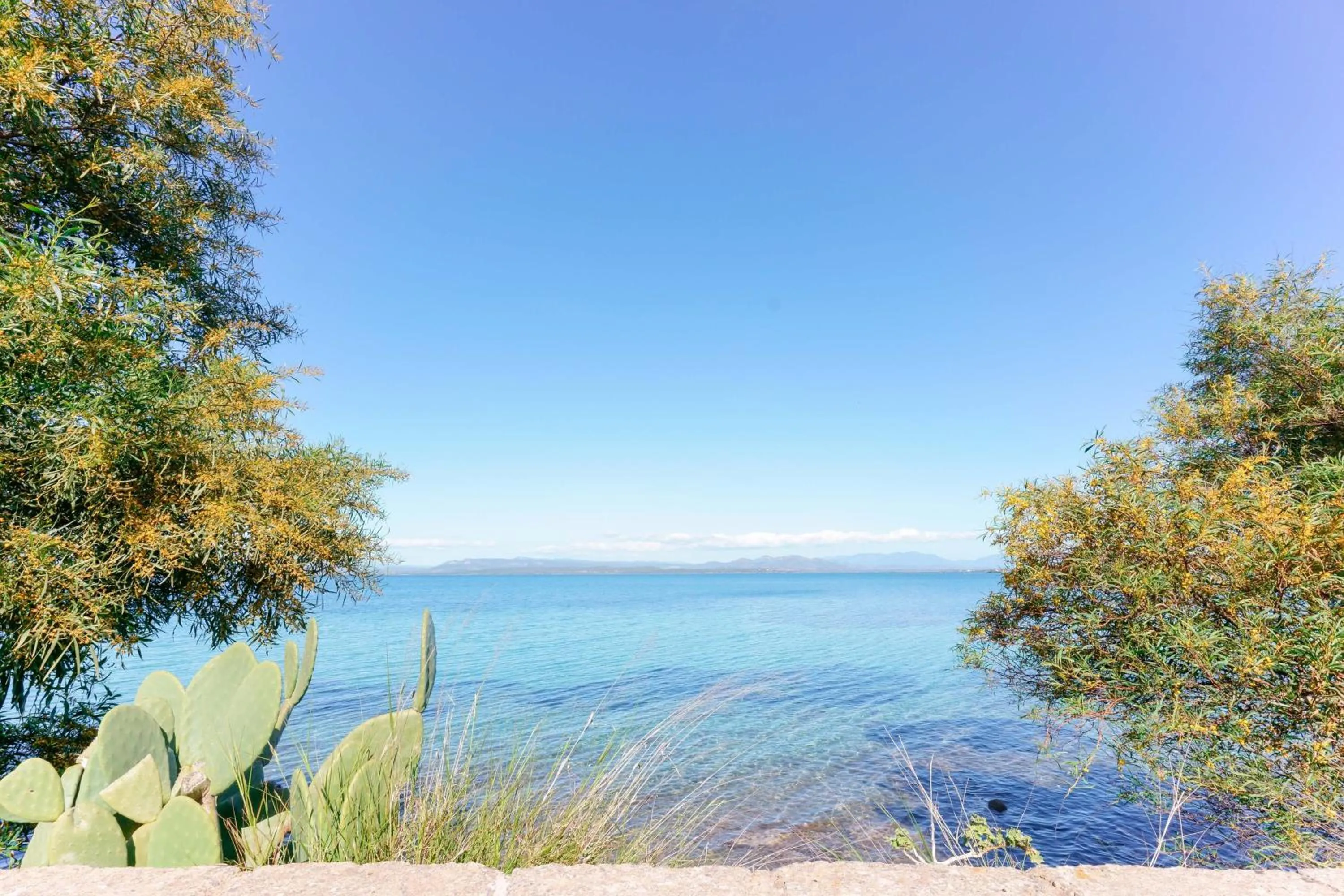 Montellino's Suite Oro