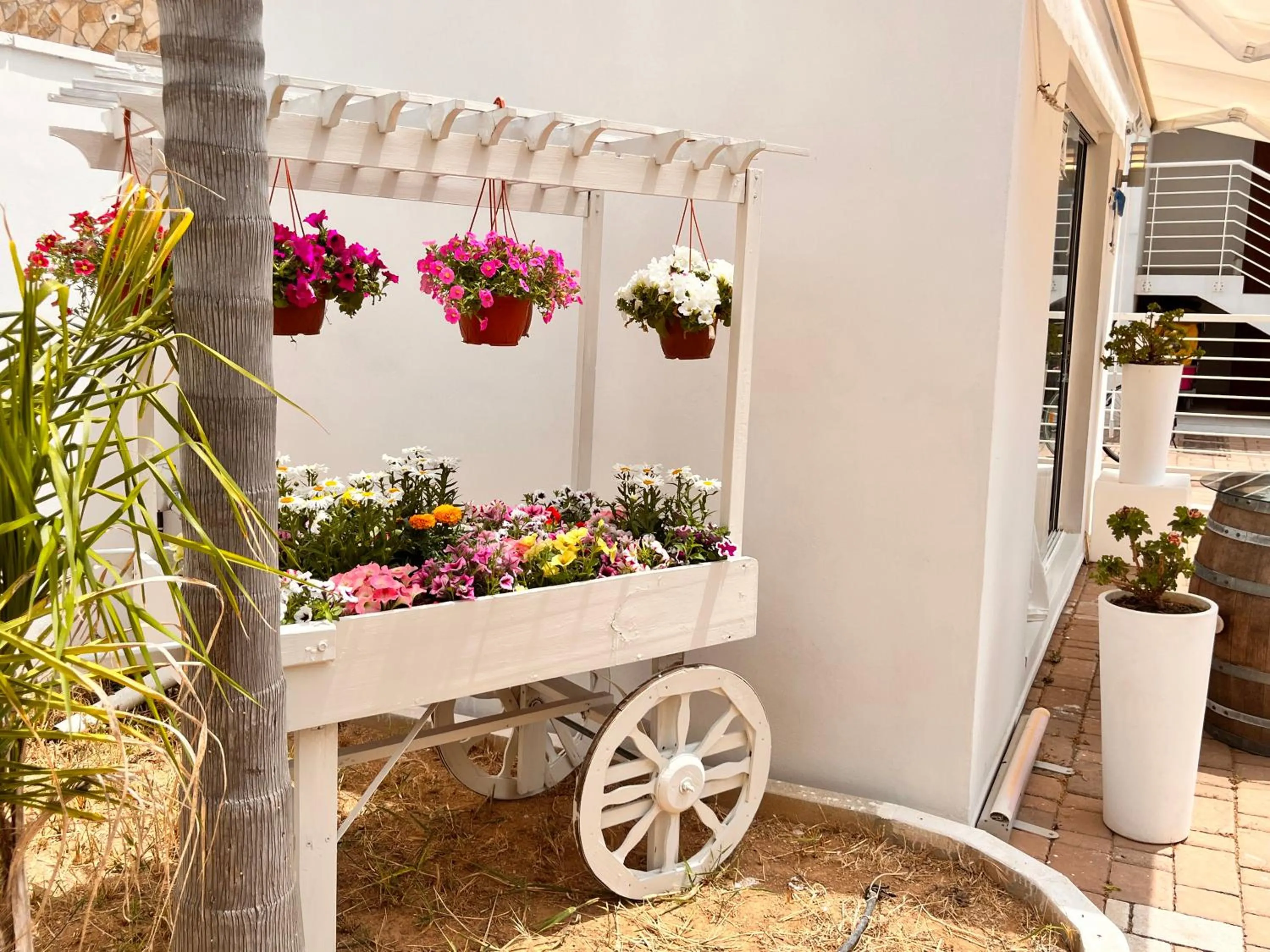 Residence Costa Bianca