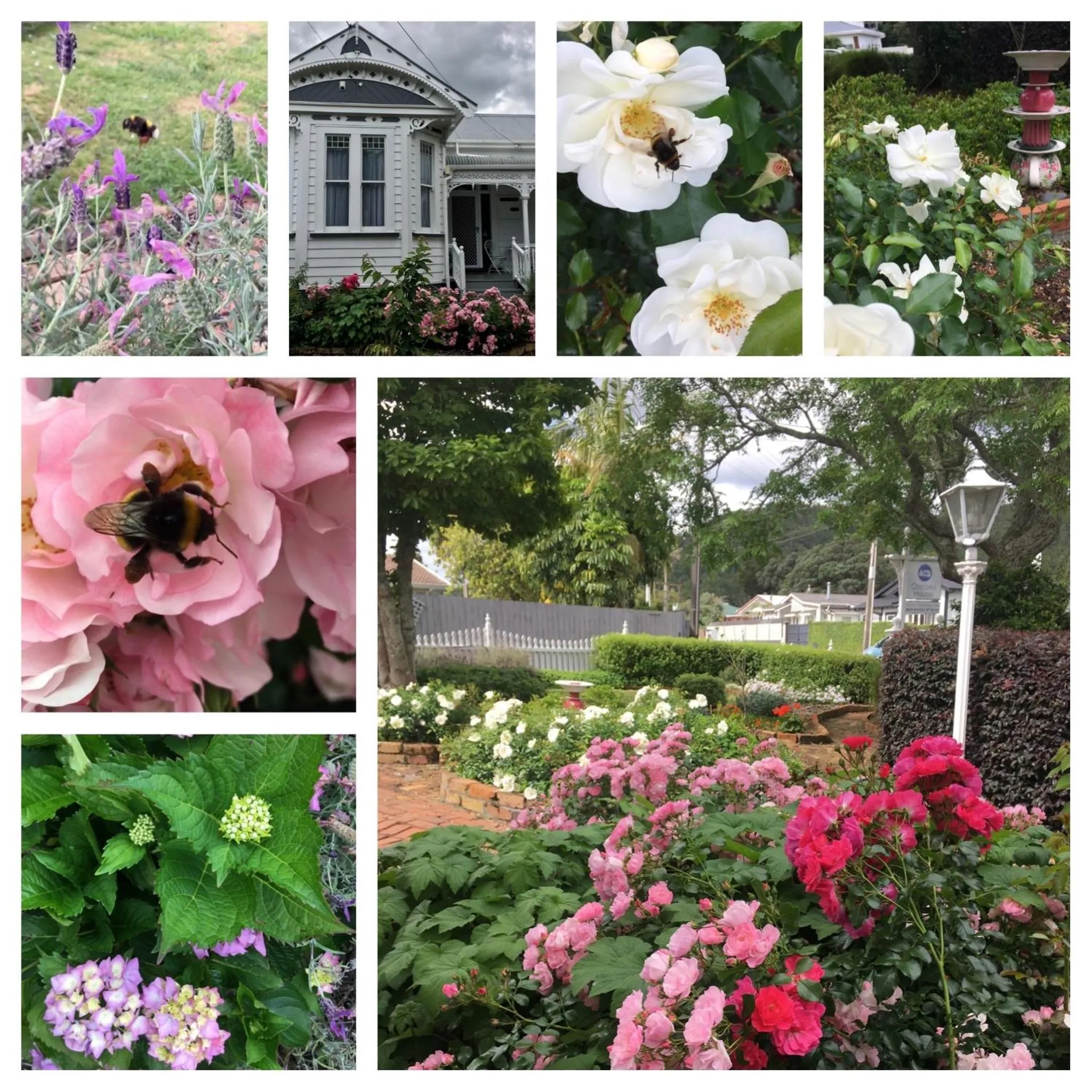 Garden in Chelsea House Bed & Breakfast