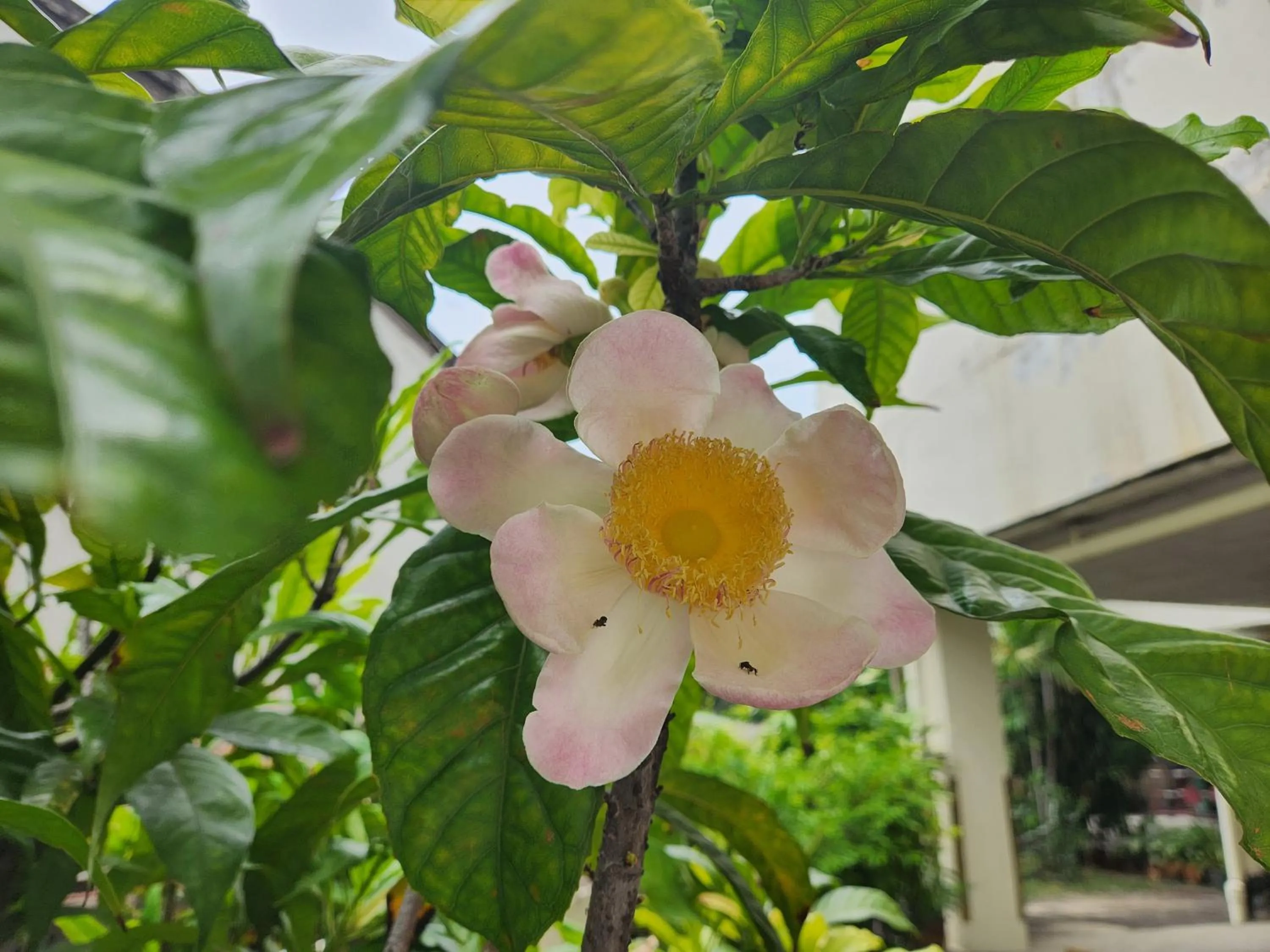 Property building in Interchange Tower Serviced Apartment - SHA Extra Plus