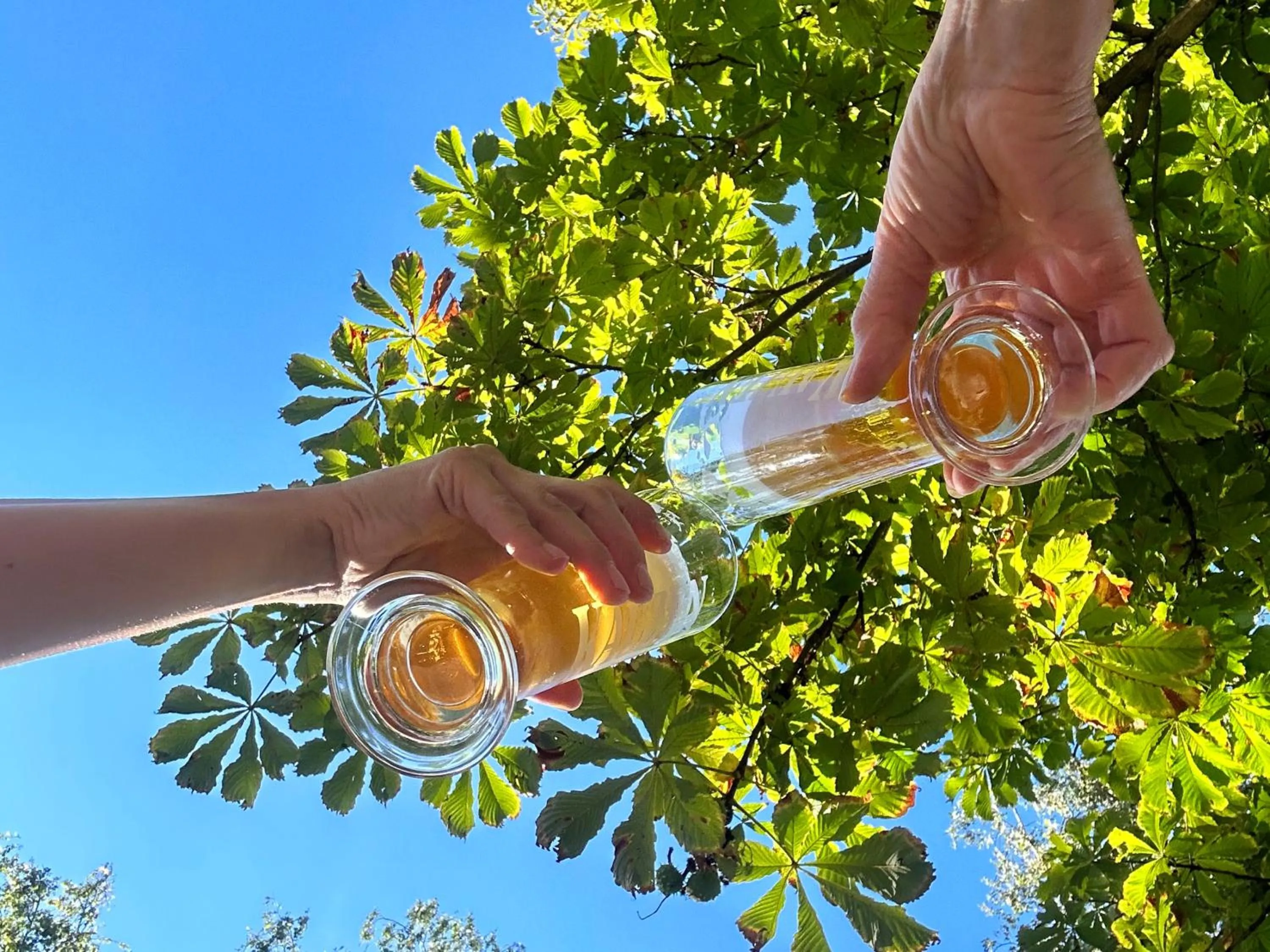 Restaurant/places to eat in Best Western Hotel Polisina