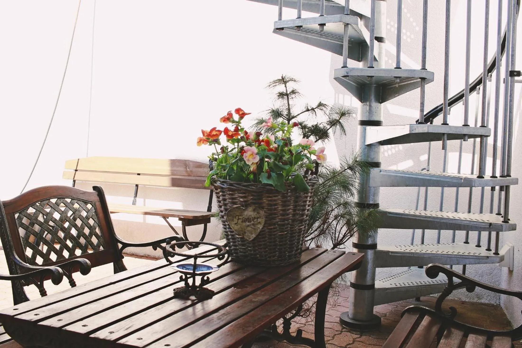 Natural landscape in Pensjonat Jagoda B&B