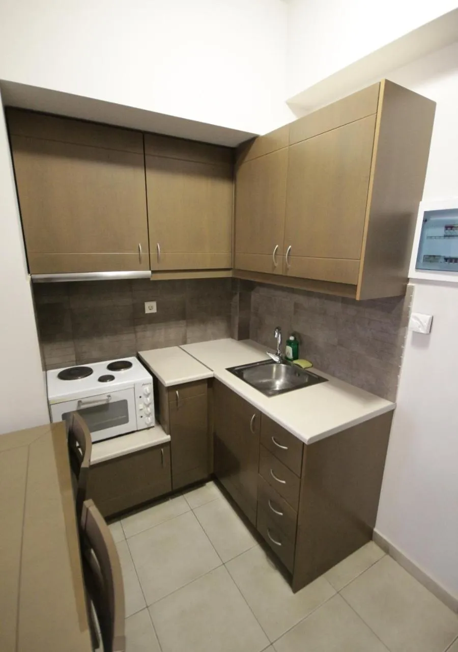 Kitchen or kitchenette in Philoxenia Hotel