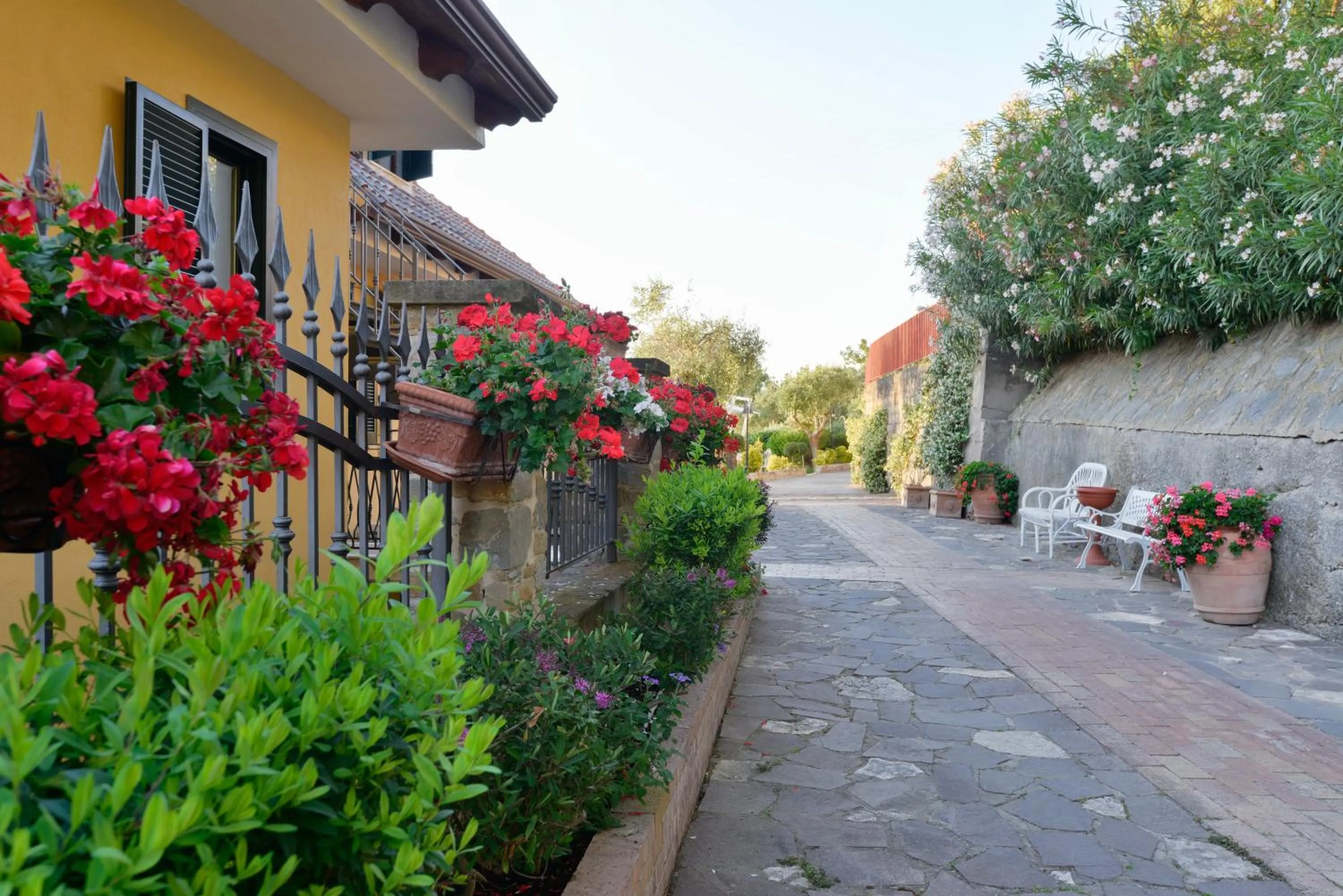 Garden in Villa Elaia