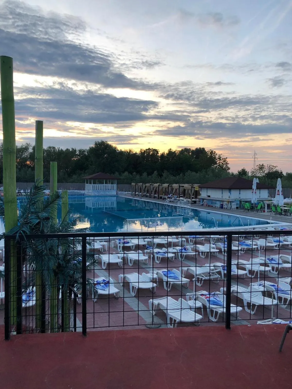 Swimming pool in Flamingo Resort