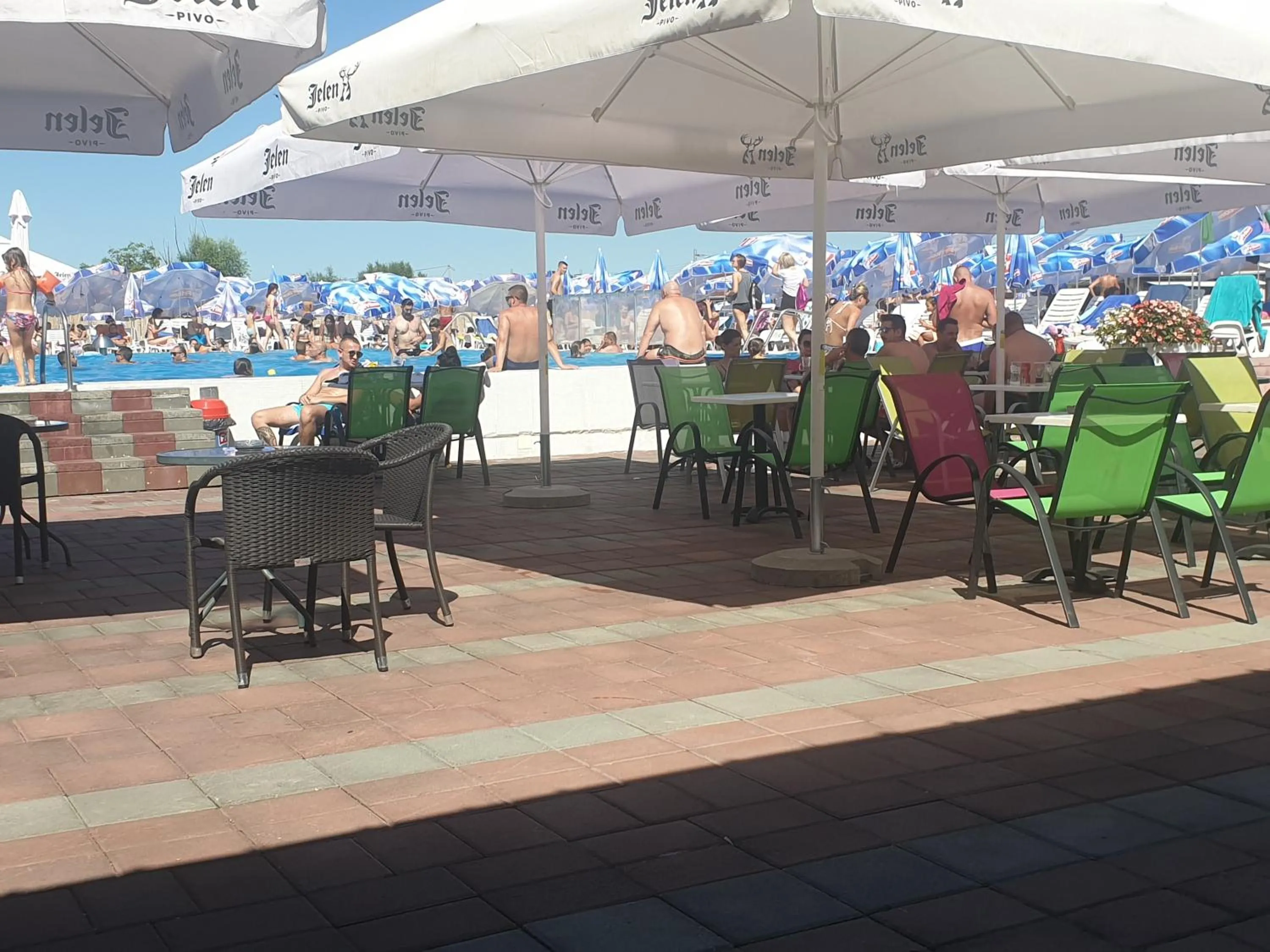 Swimming pool in Flamingo Resort