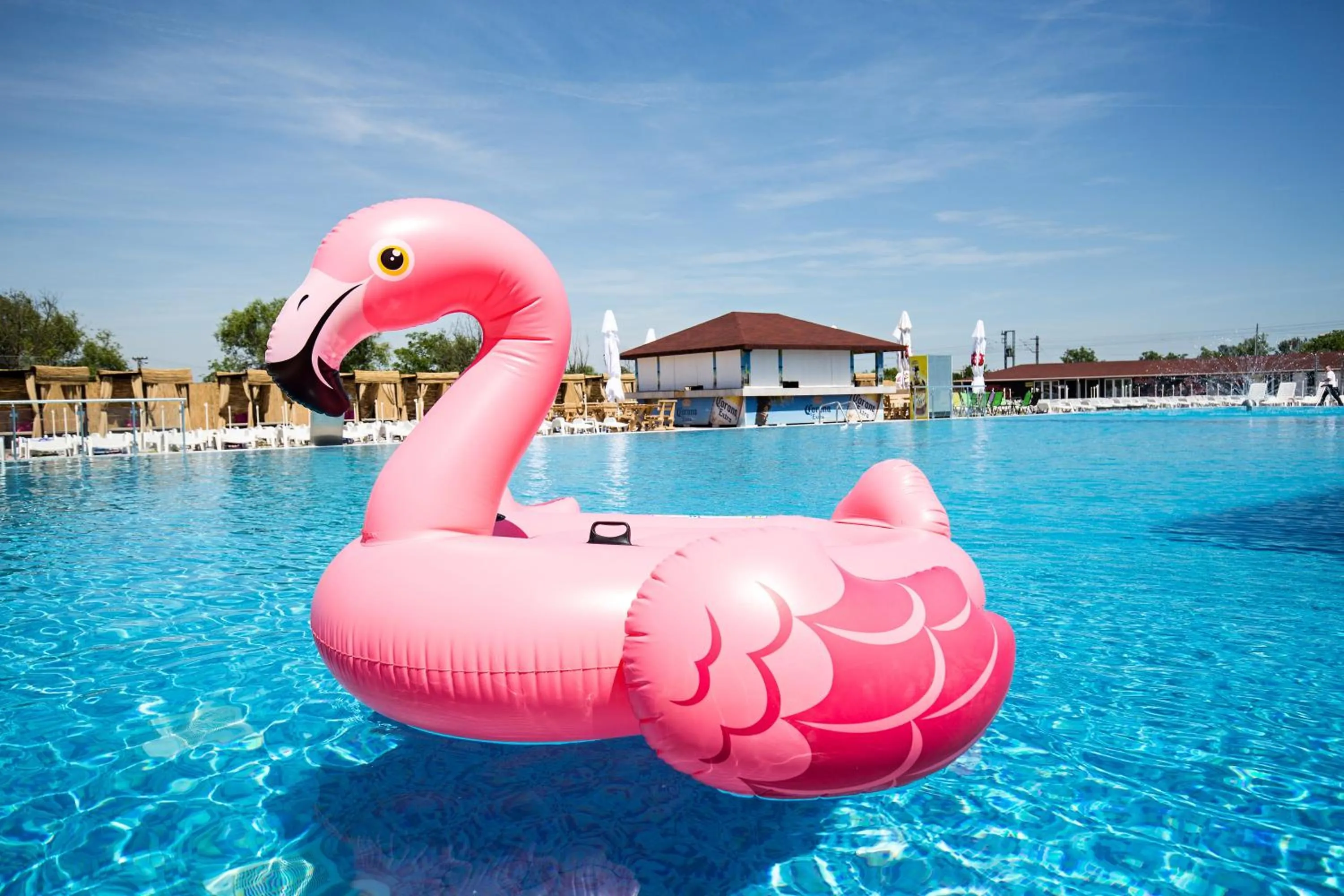 Swimming pool in Flamingo Resort