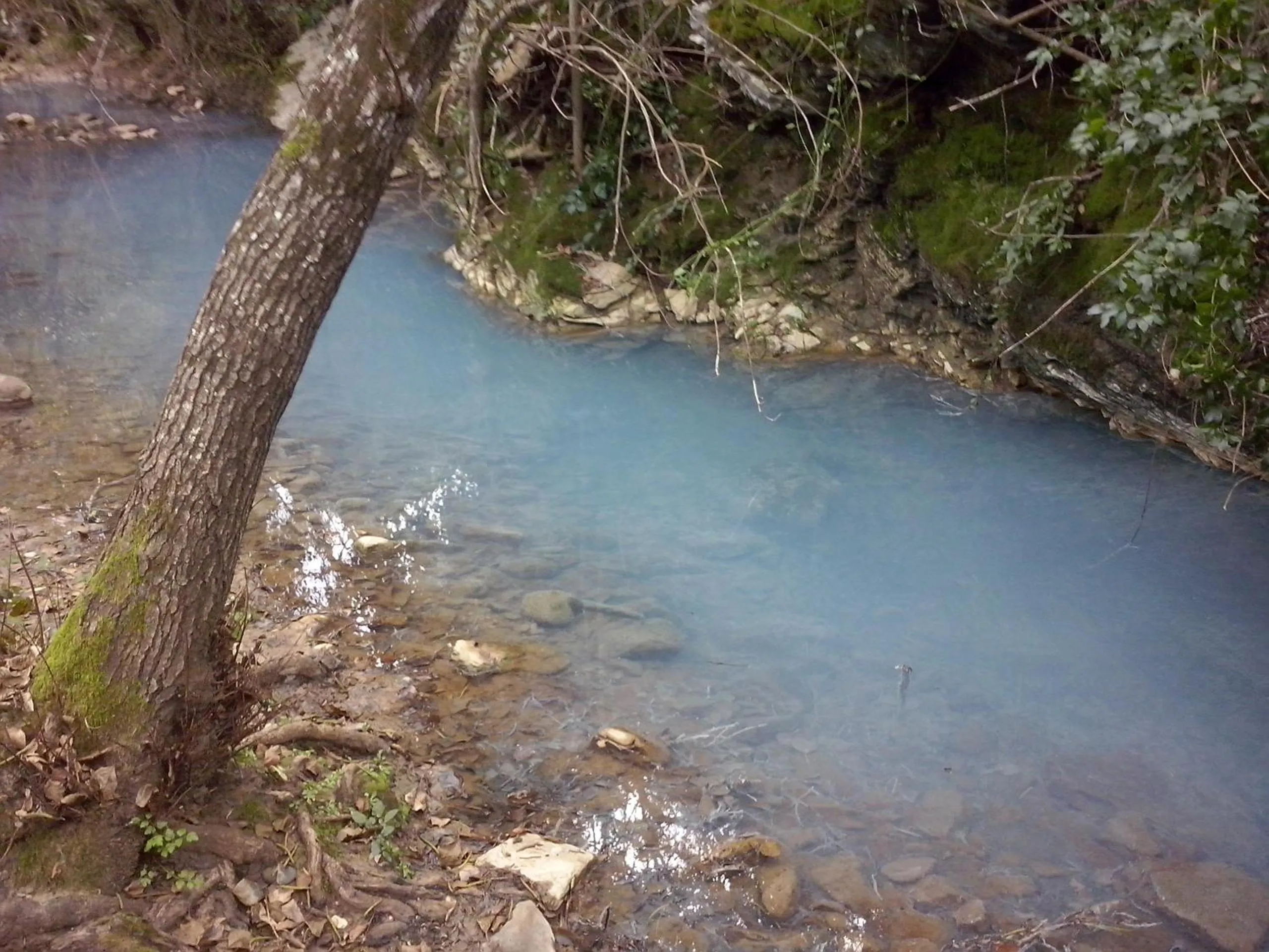 Natural landscape in Posada La Casa Grande