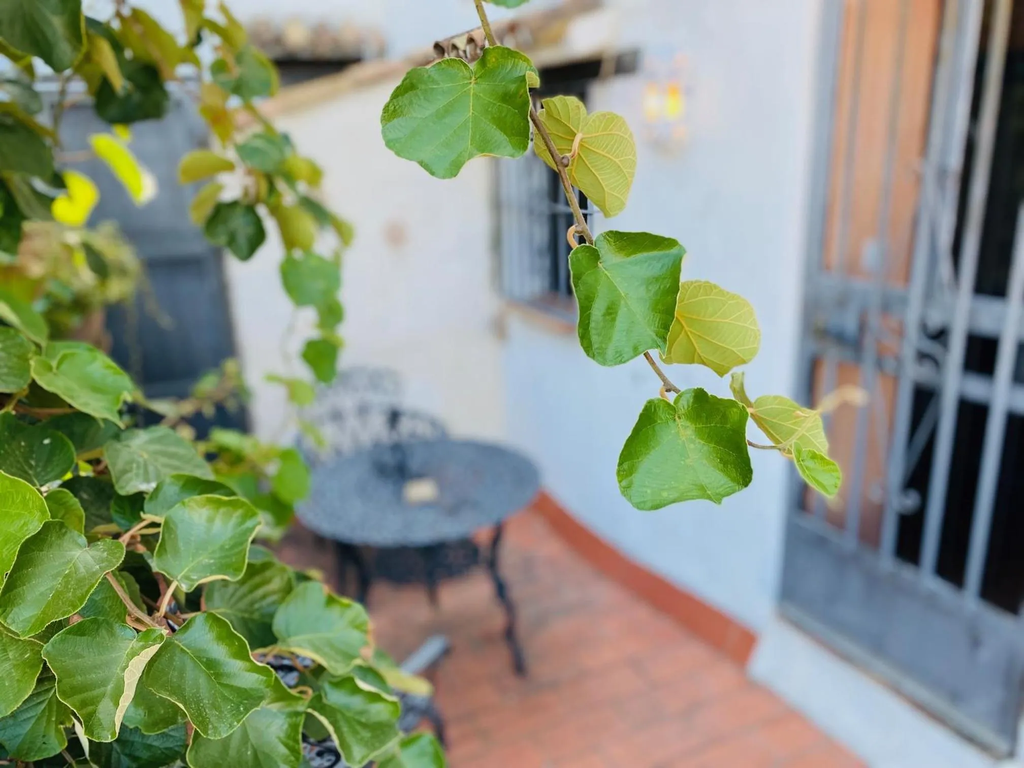 Balcony/Terrace in Posada La Casa Grande