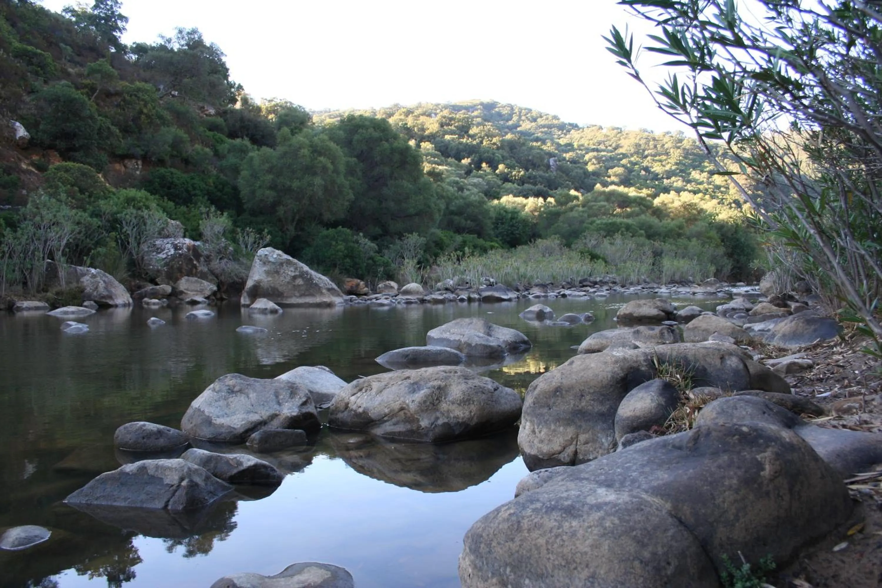 Natural landscape in Posada La Casa Grande