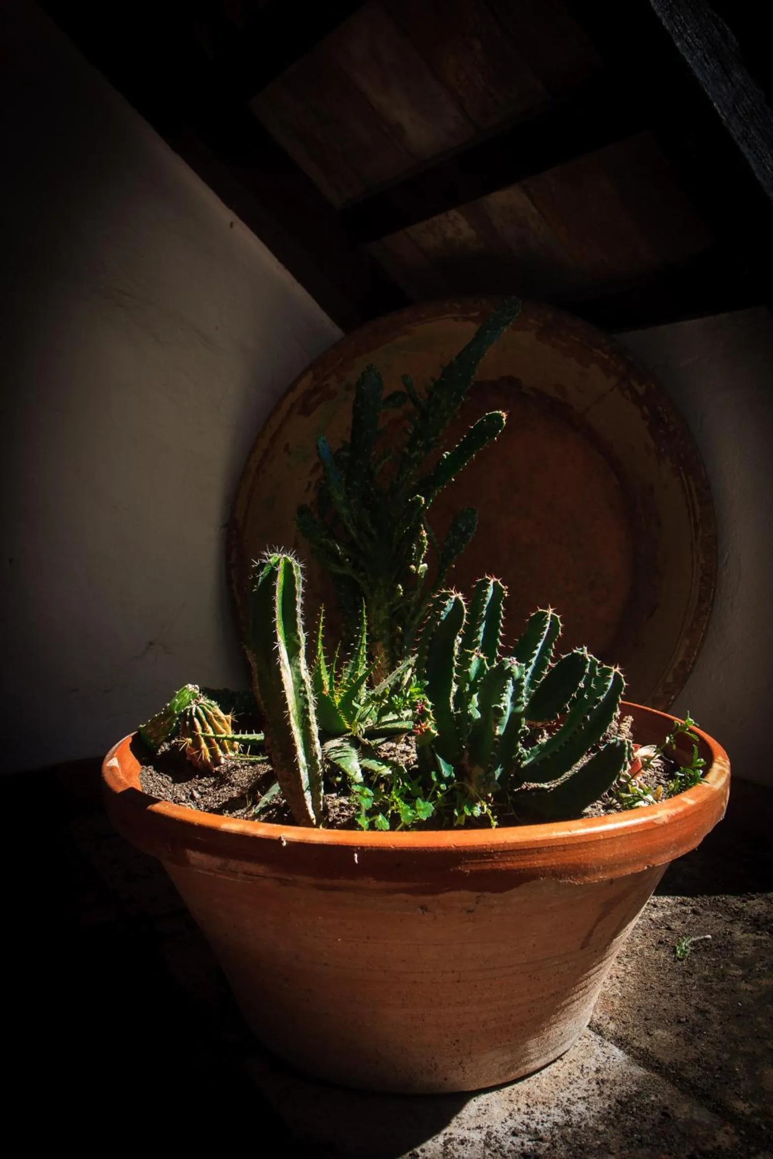 Decorative detail in Posada La Casa Grande