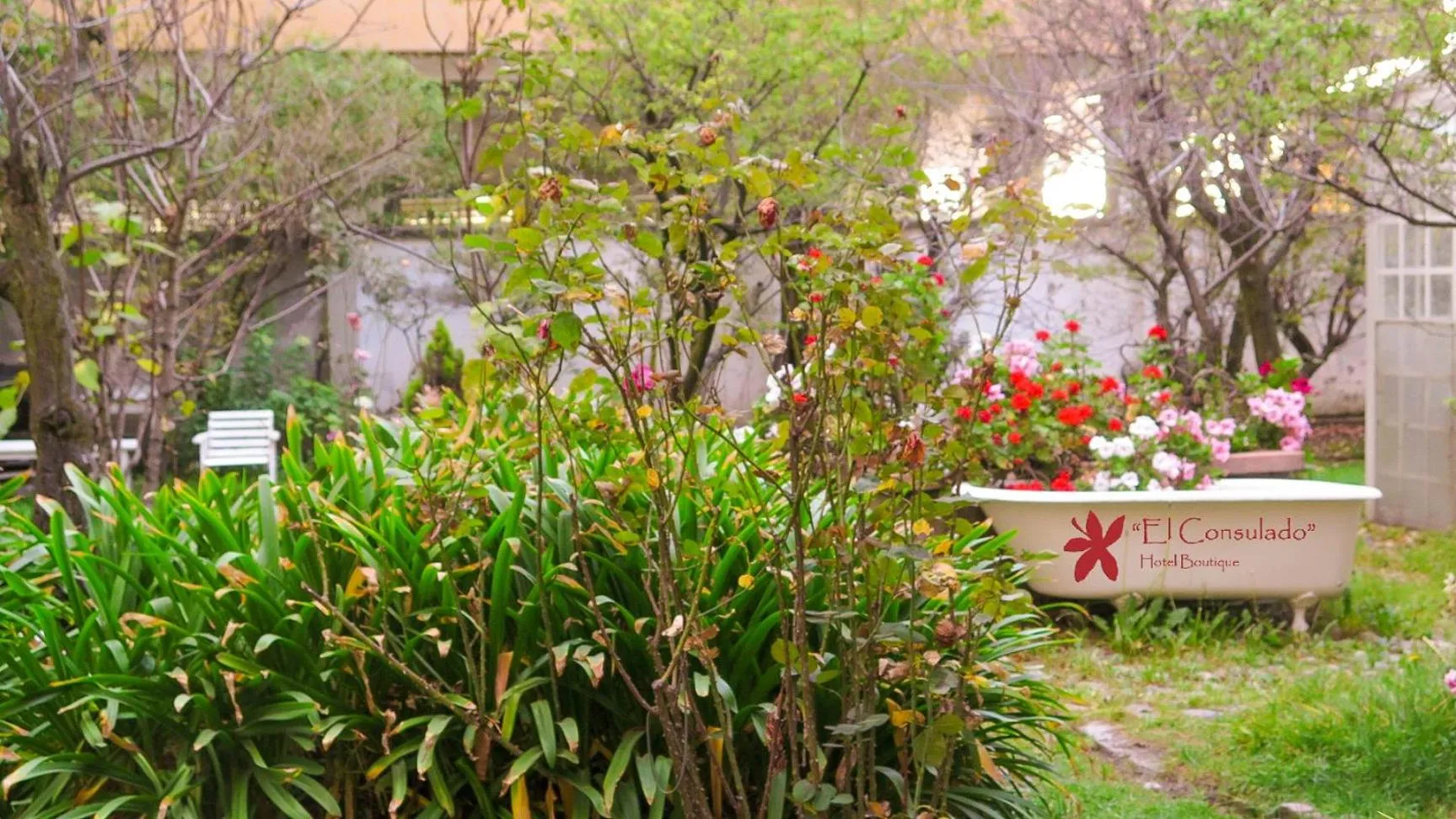 Garden in Hotel Boutique El Consulado