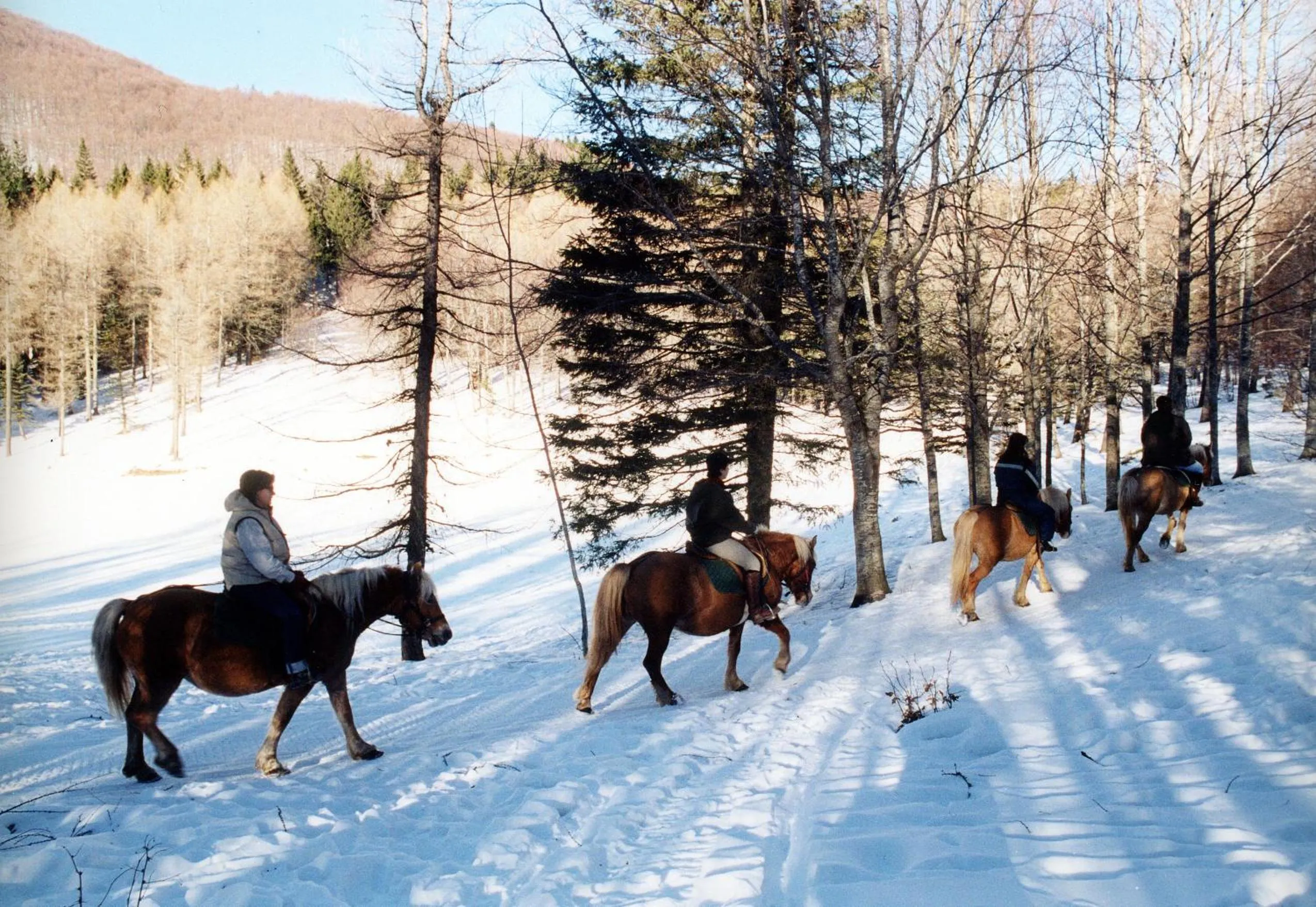 Horse-riding in Agriturismo del Cimone