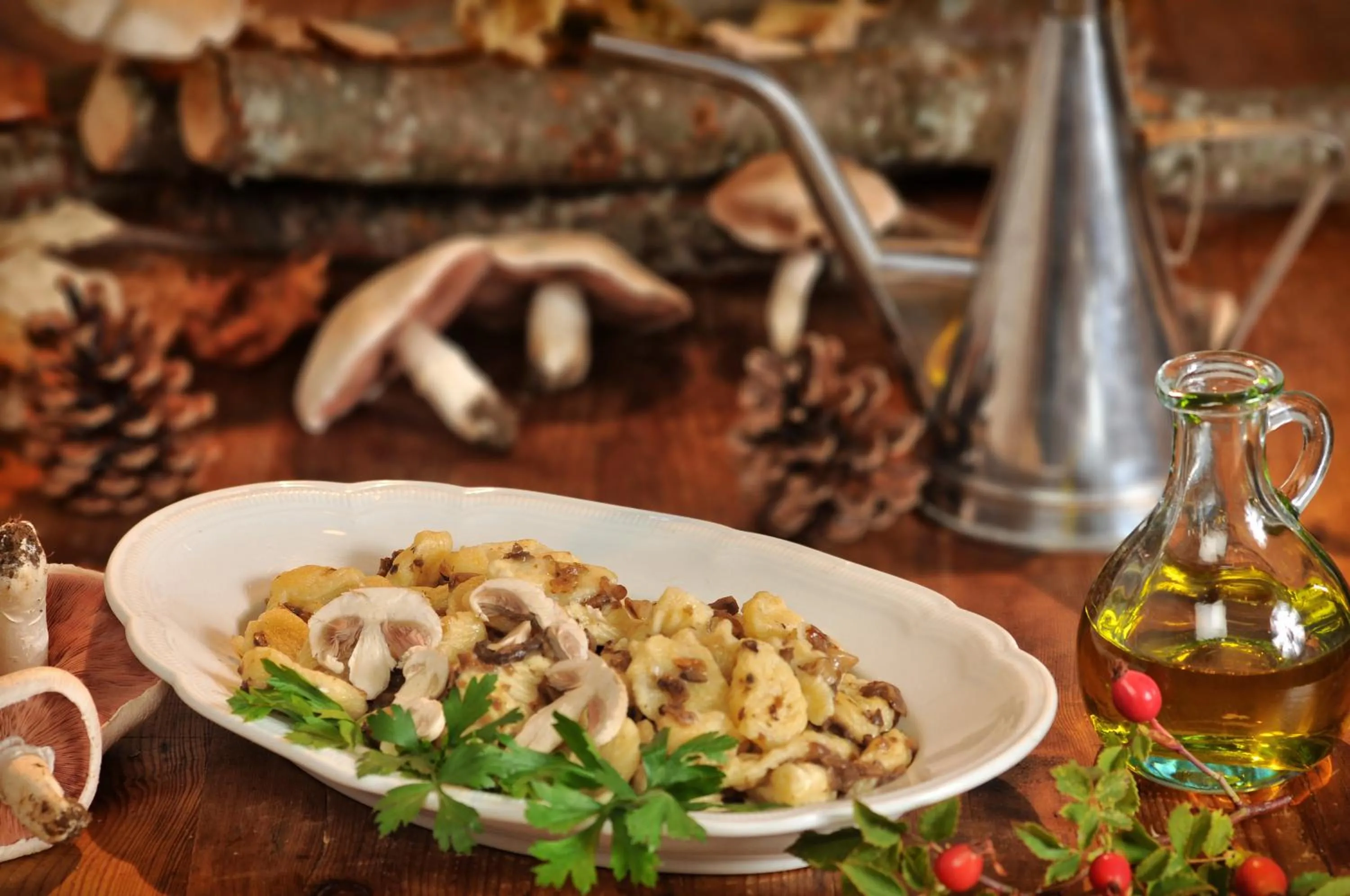 Dinner in Agriturismo del Cimone