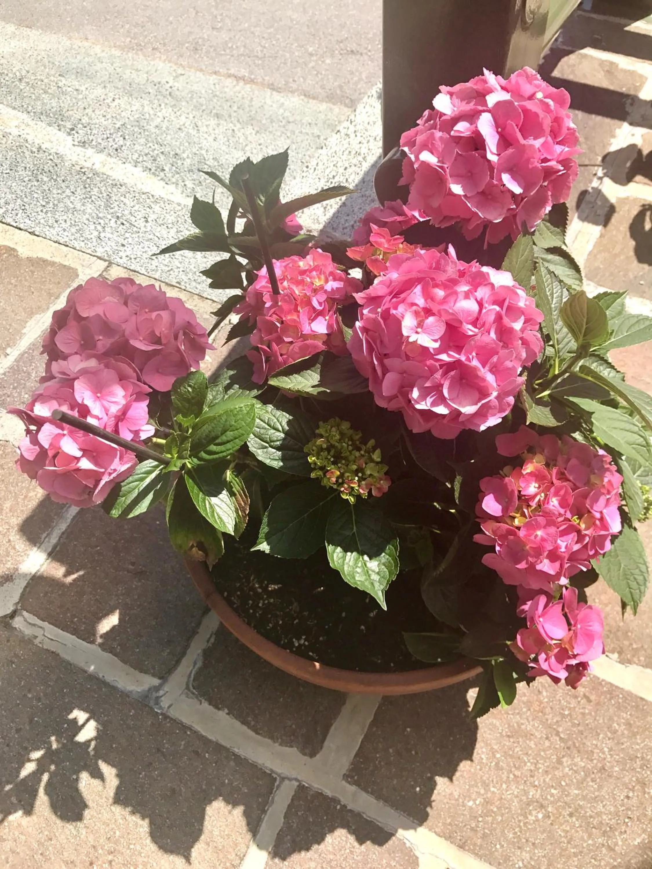 People in Hotel Zeni