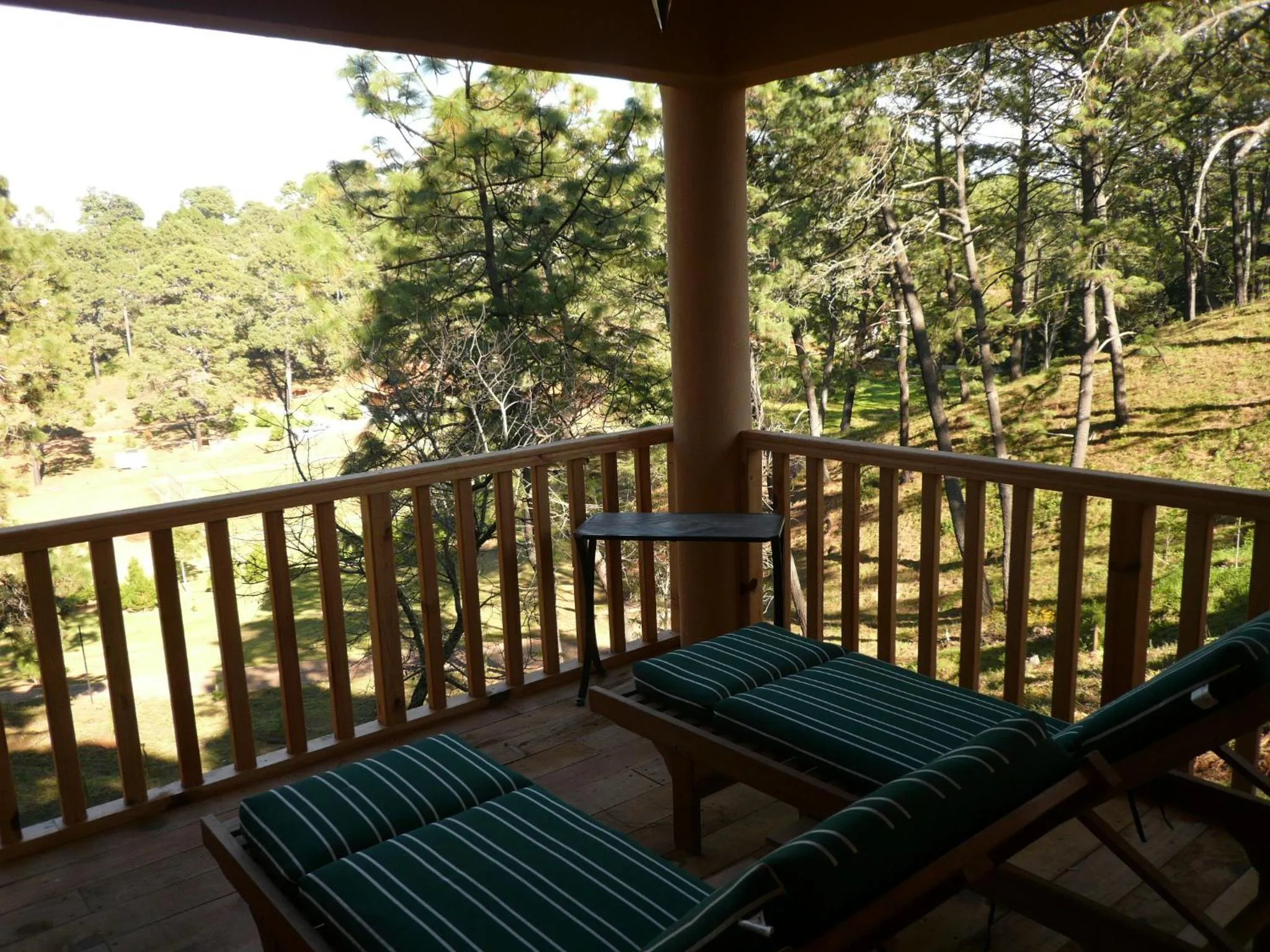 Day in Bosque Escondido