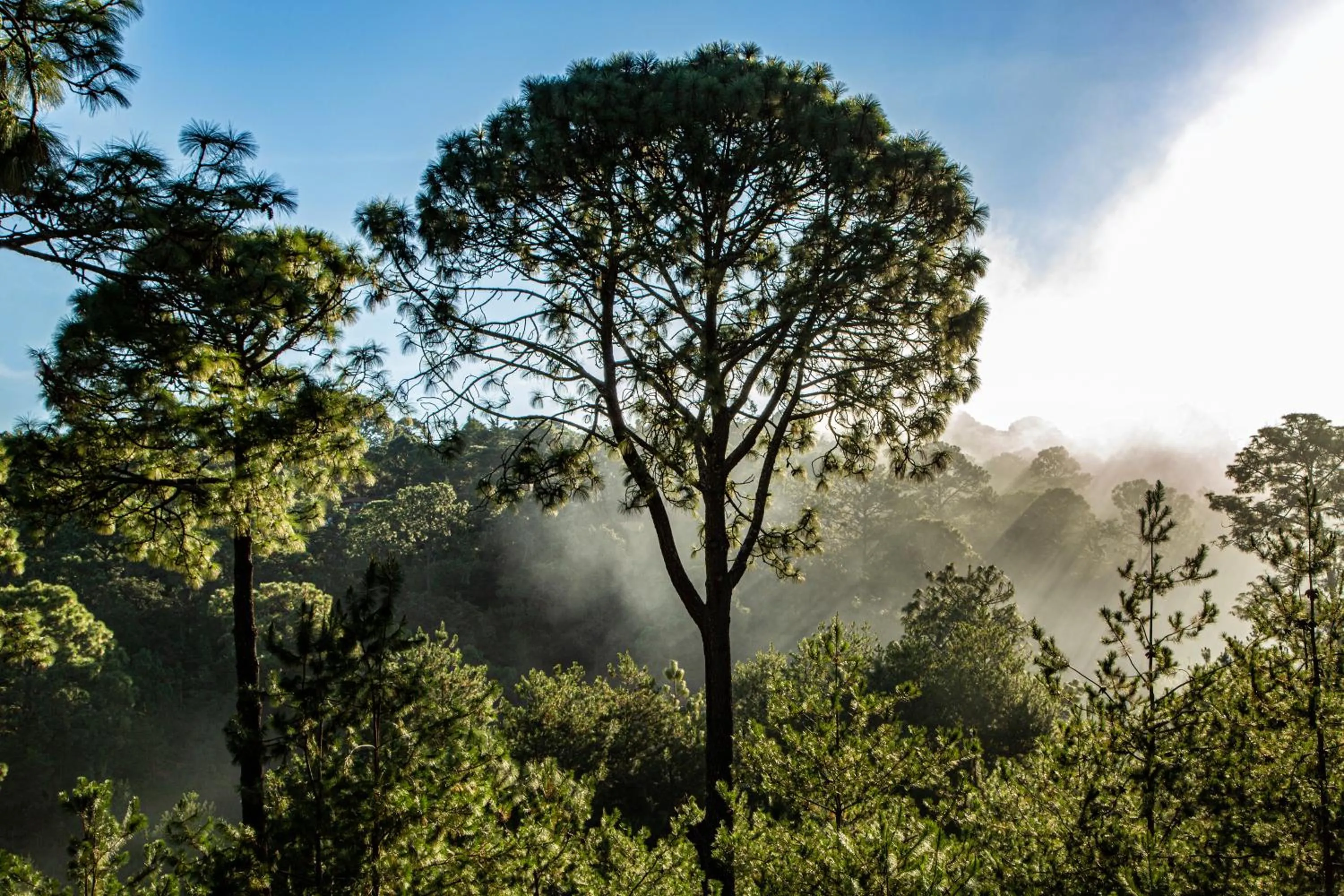 Off site in Bosque Escondido