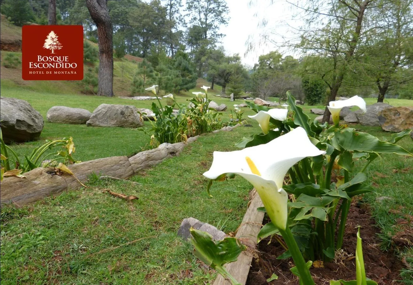 Day in Bosque Escondido